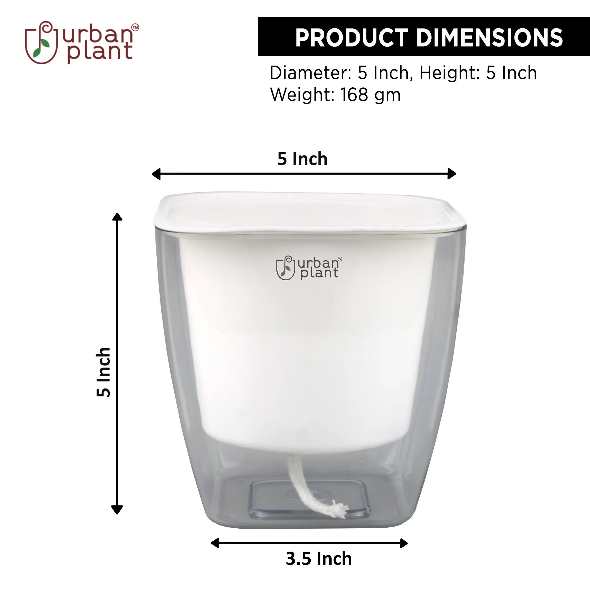 Urban Plant Transparent Self Watering Pot 5 Inch Urban Plant 