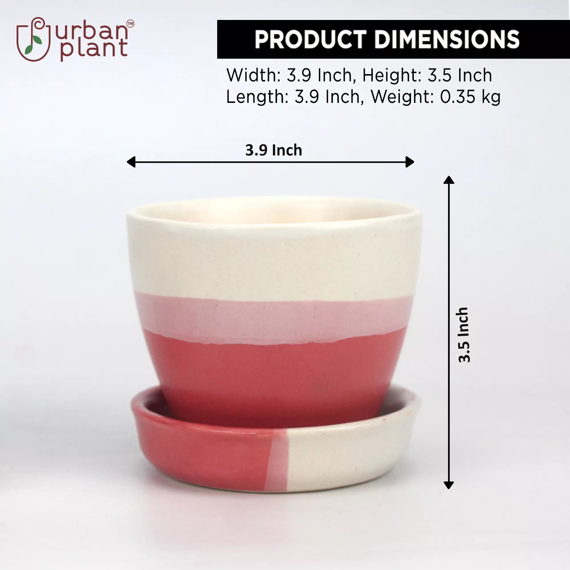 Multi Color Round Planter with Saucer Base Ceramic Planters Urban Plant 