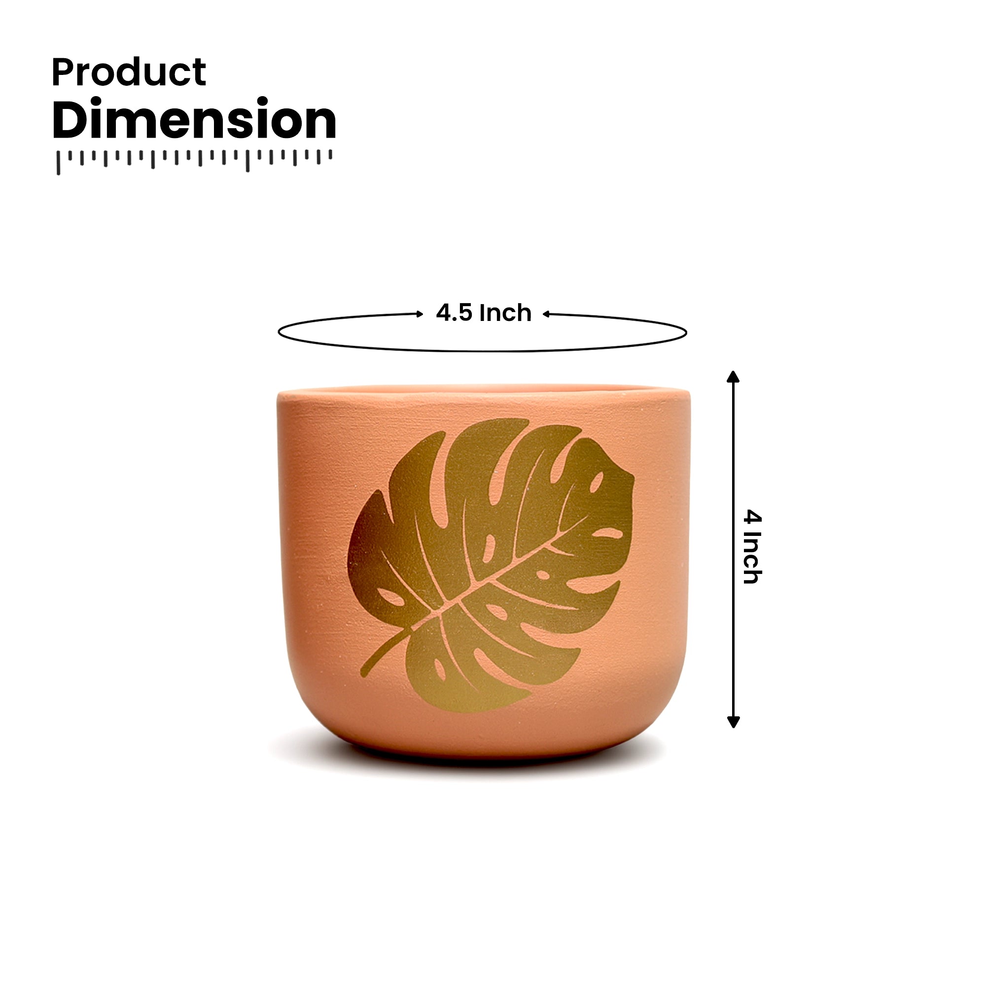 Monstera Muse Earth Gold Terracotta Pot by Urban Plant