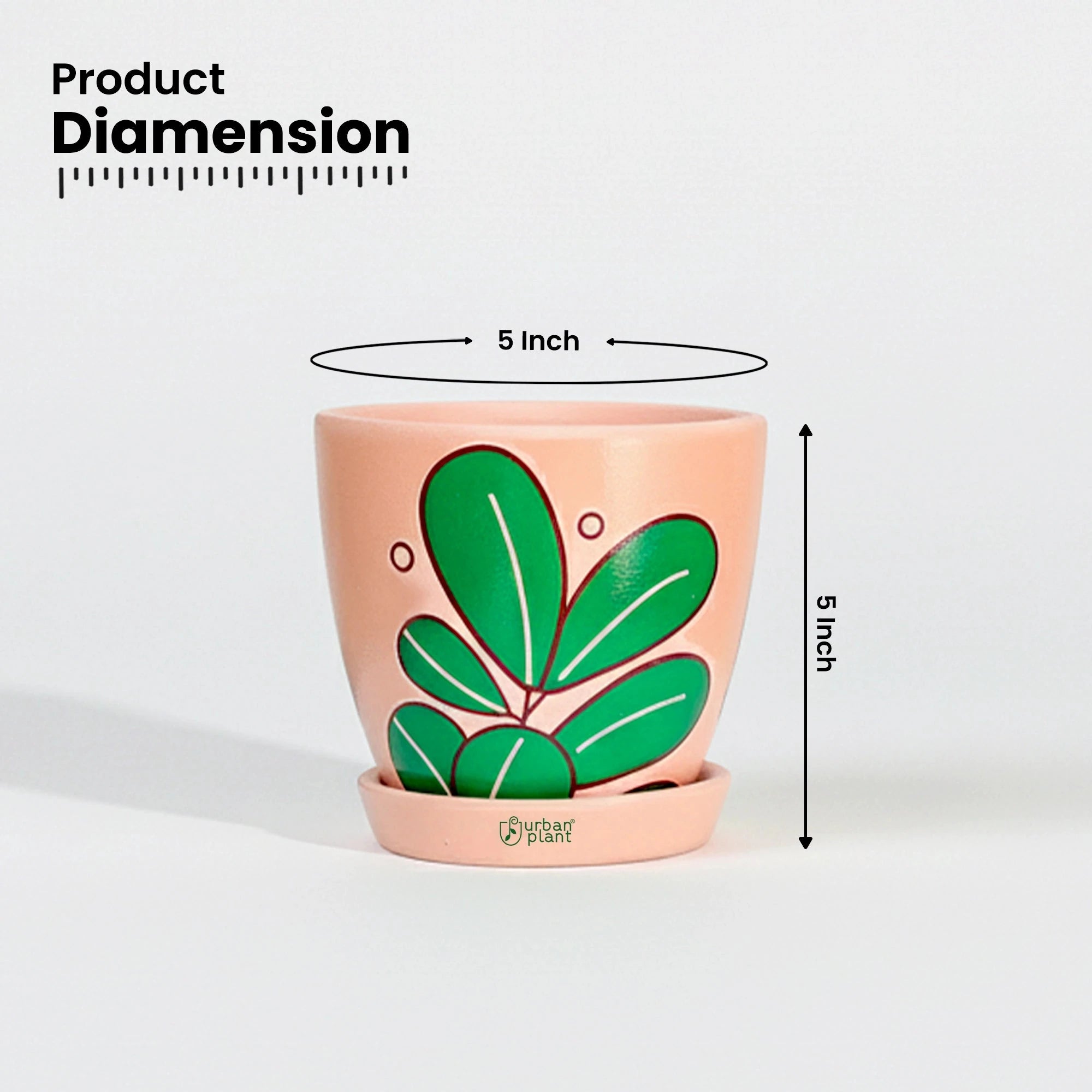 Urban Plant Signature Terracotta Pot Terracotta Pot Urban Plant 