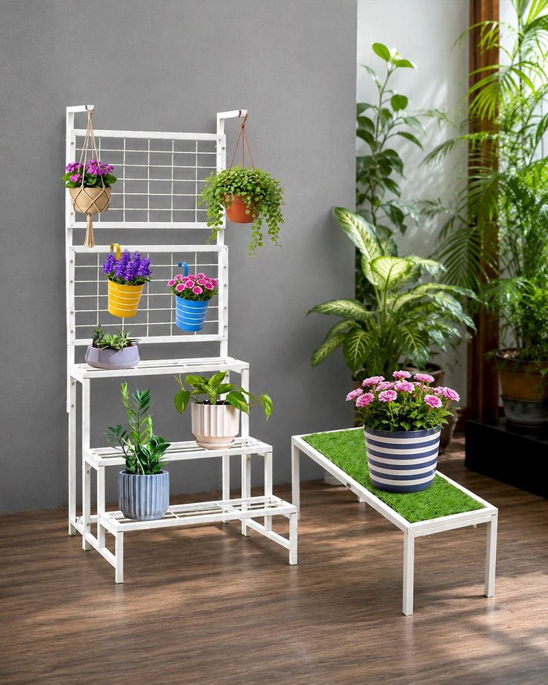 Stands