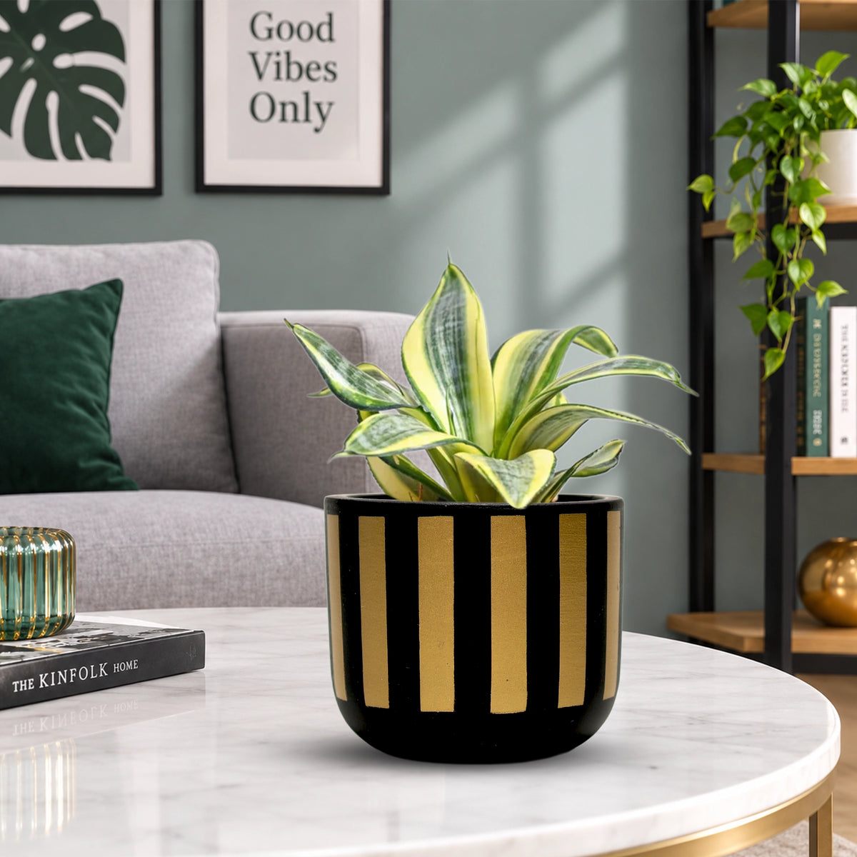 Urban Plant Neo Stripe Terracotta Pot Color Black Gold