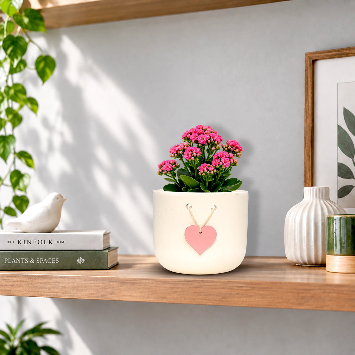 Urban Plant Cherish Terracotta Pot with Heart Tag