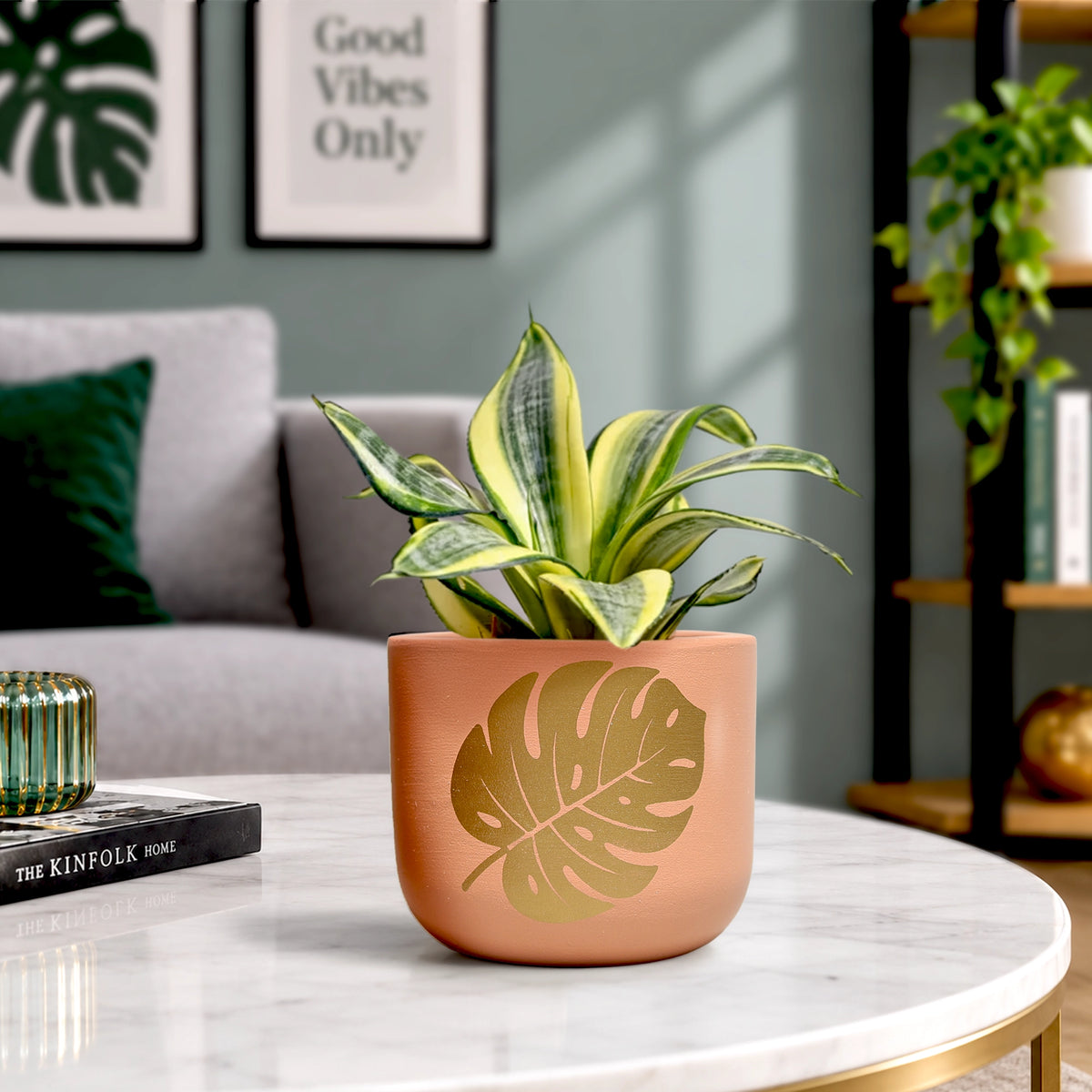 Urban Plant Monstera Muse Terracotta Pot Earth Gold