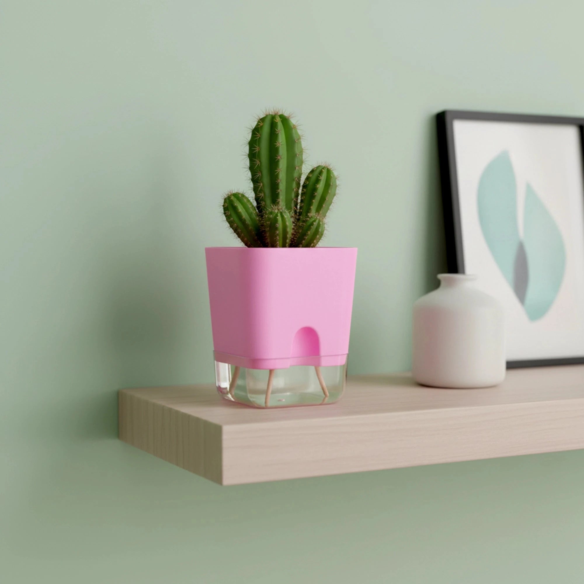 Aquaflow Self Watering Pot Plastic Pot Urban Plant 