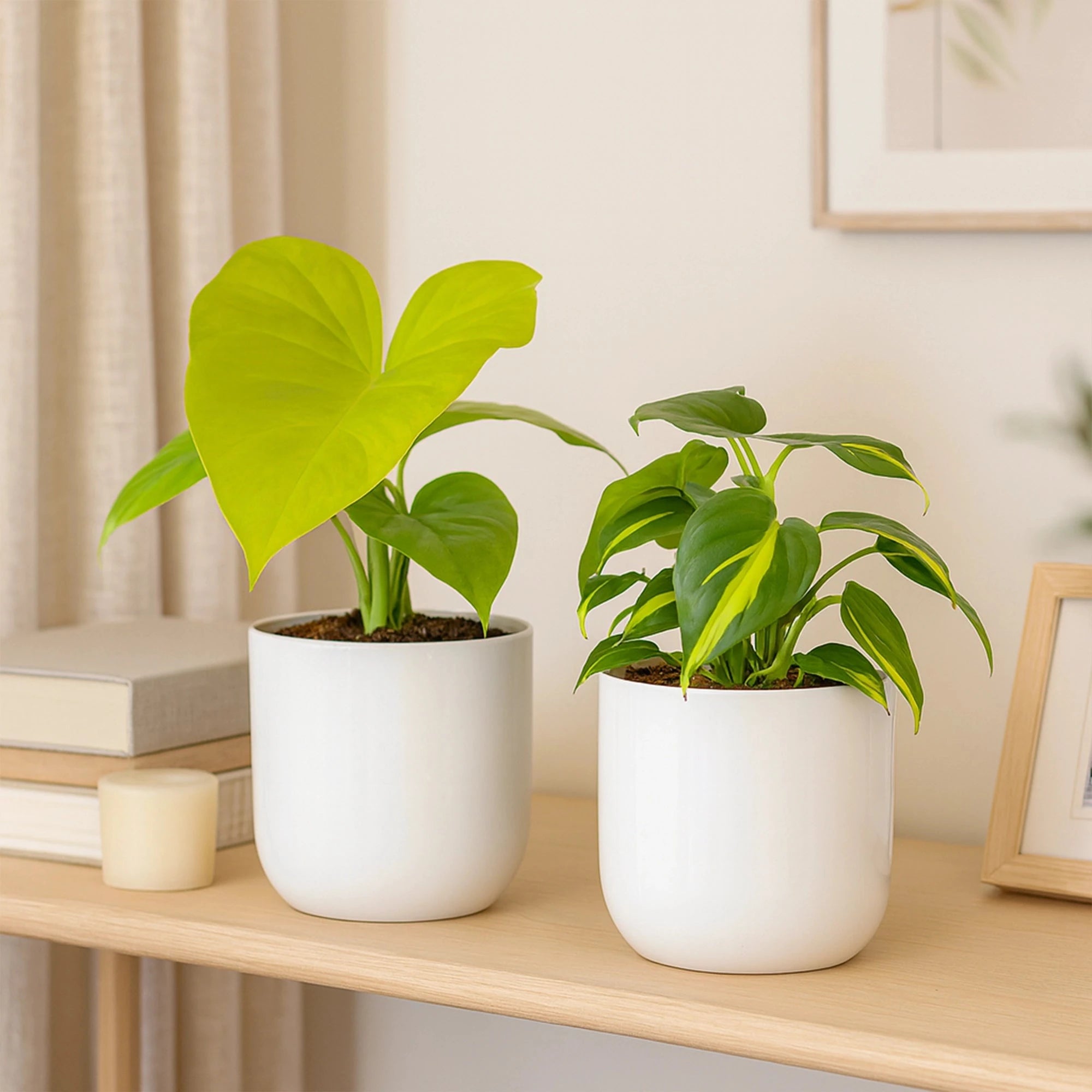 Metallic Miniature Planter (White - Pack of 2) Metal Planter Urban Plant 