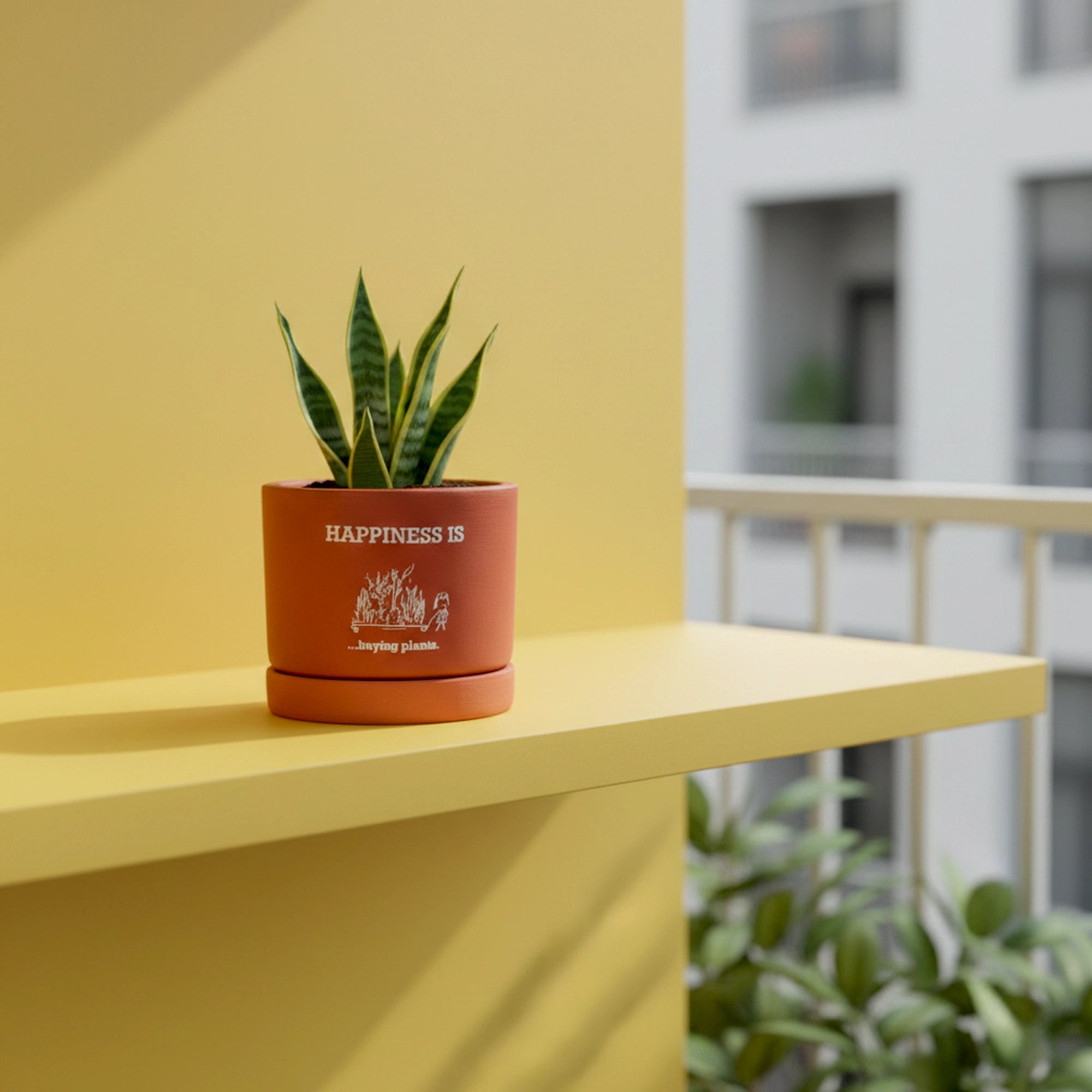 Joy Root Terracotta Pot with Saucer on shelf shelves 