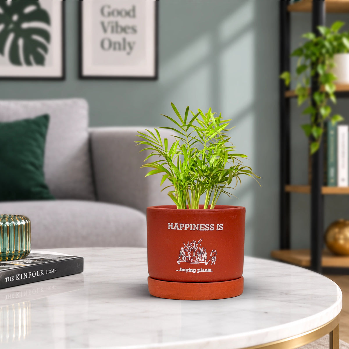 Joy Root Terracotta Pot with Saucer Pattern: Happy Plant