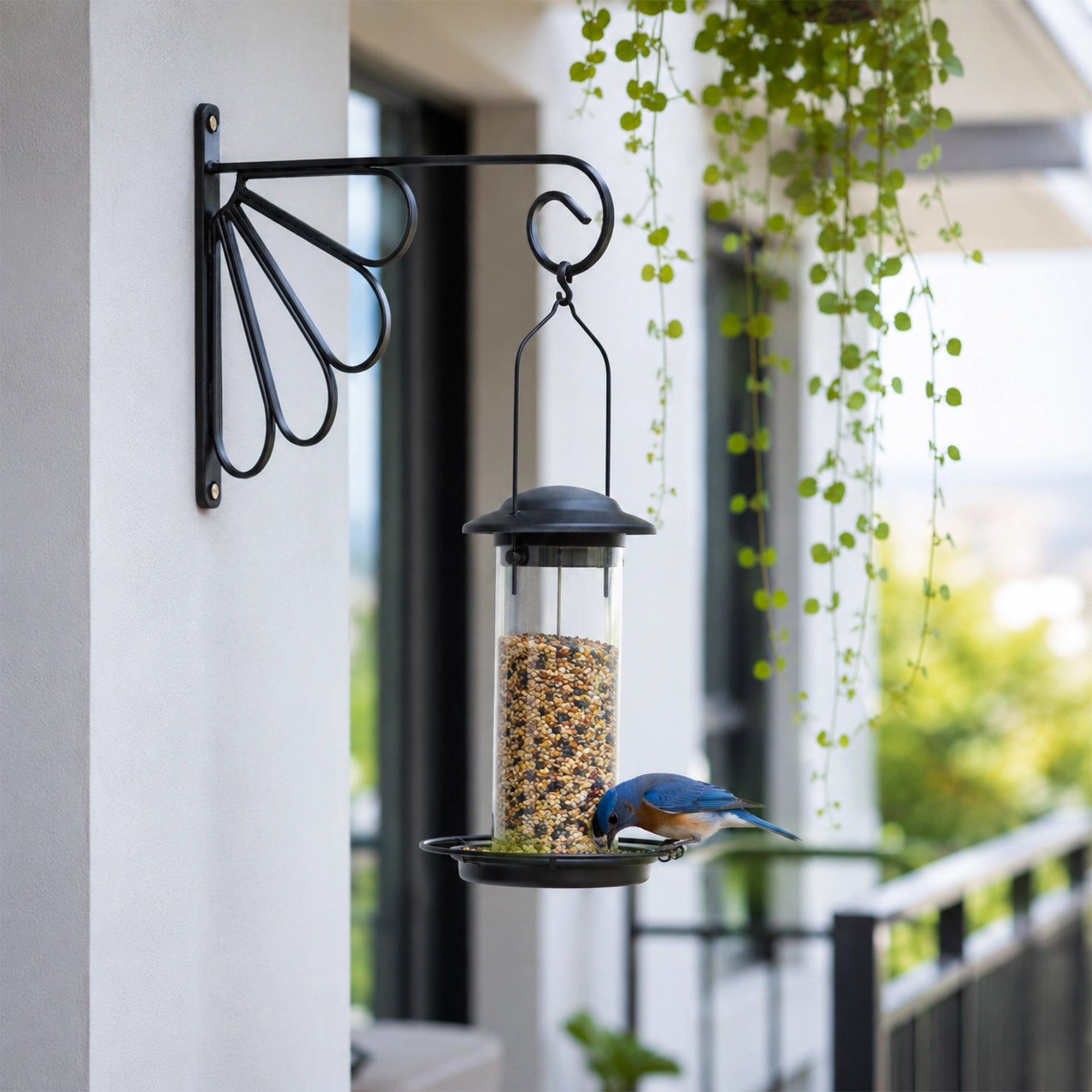Urban Plant Metal Wall Bracket - (Set of 2)