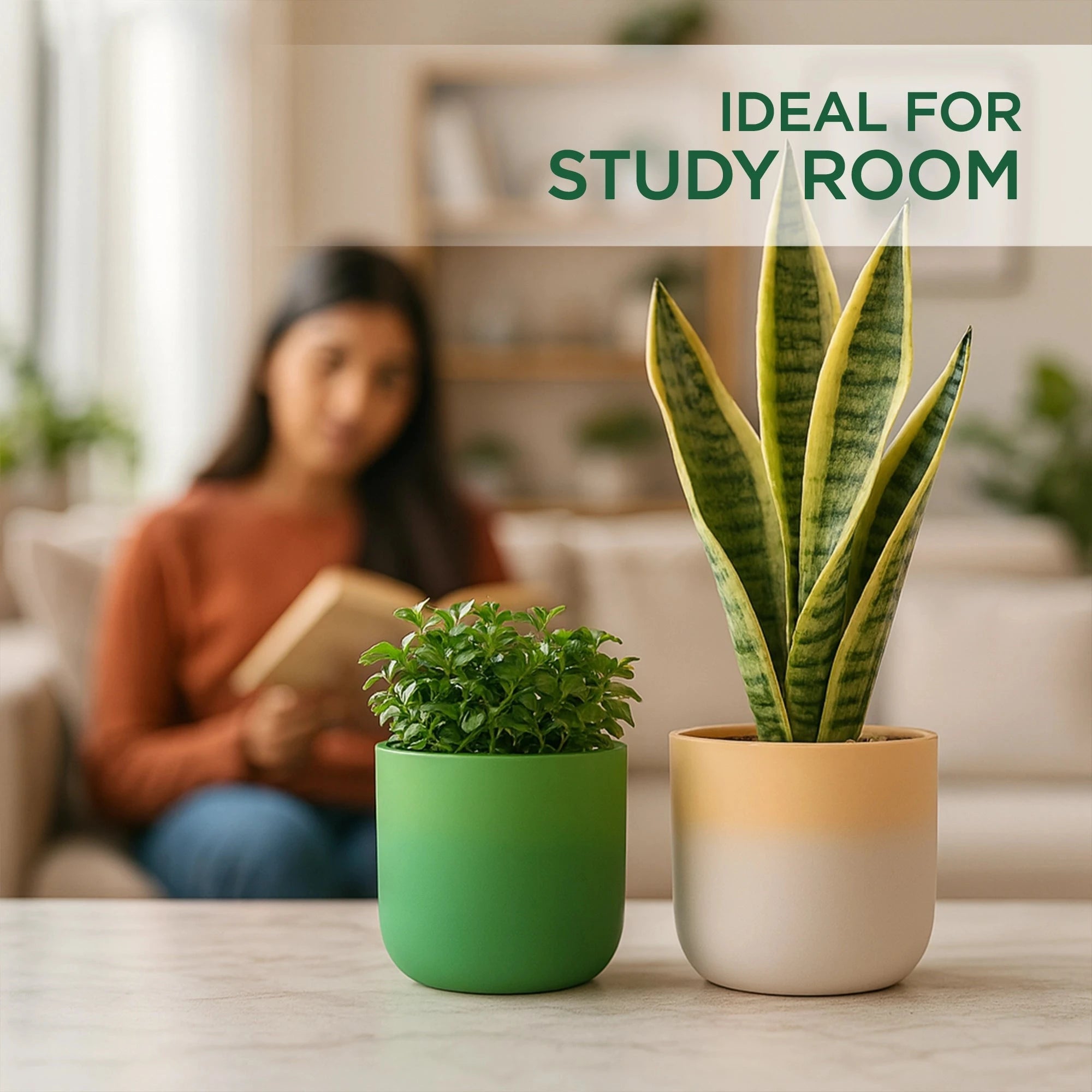 Terracotta Wonders - (Set of 2) Terracotta Pot Urban Plant 
