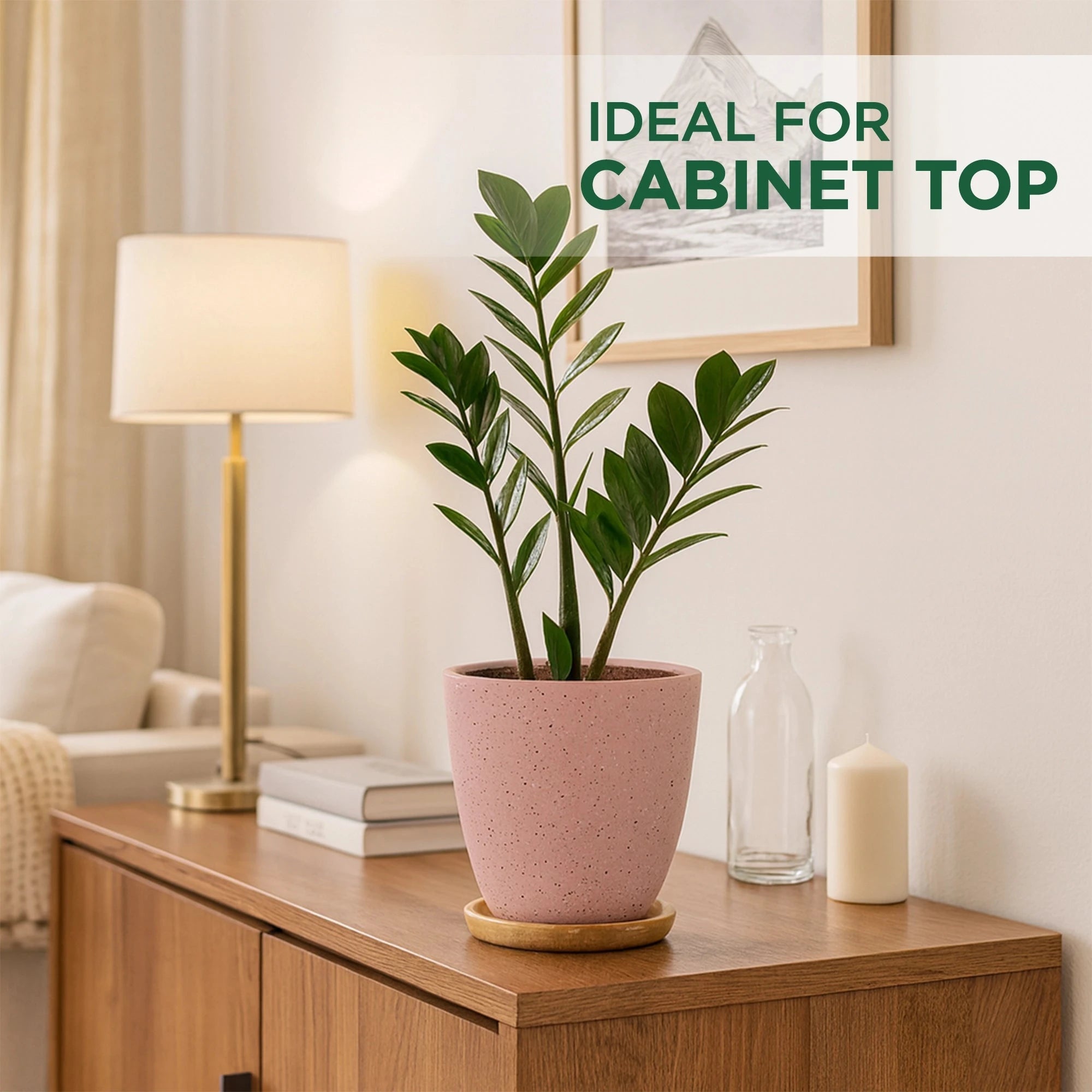 Terrazzo Terracotta Pot With Wooden Saucer Urban Plant 