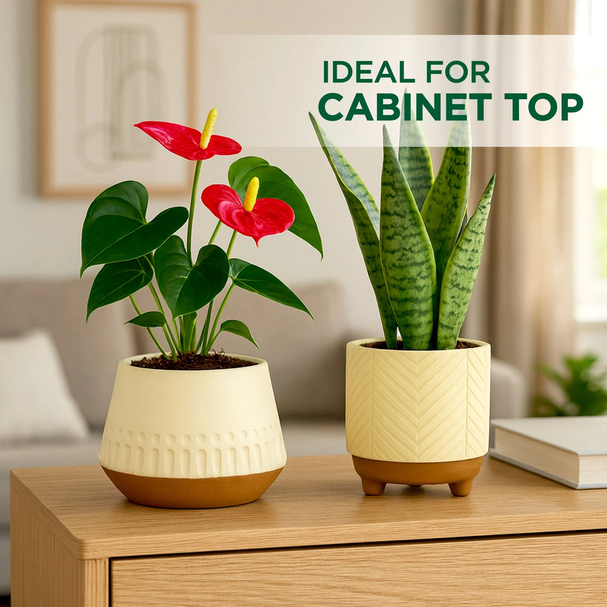Terracotta Wonders - (Set of 2) Terracotta Pot Urban Plant 