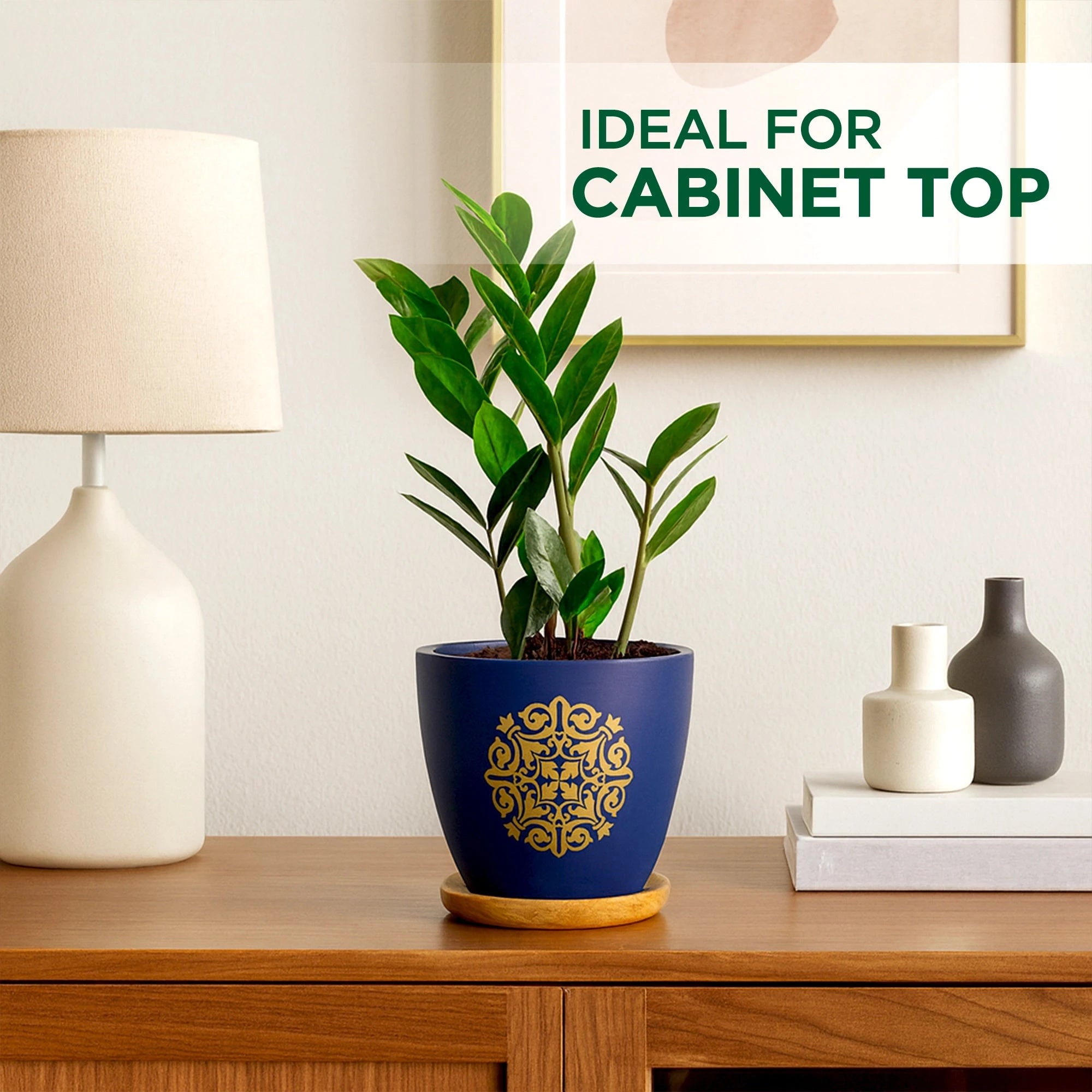 Motif Terracotta Pot With Wooden Saucer Urban Plant 