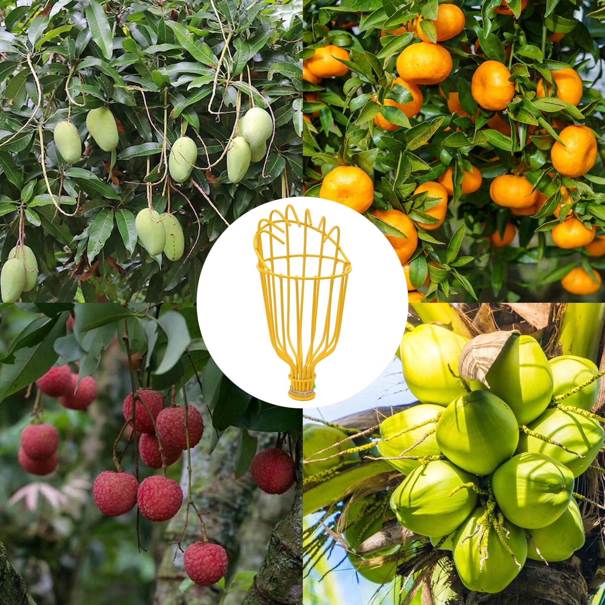 Urban Plant Fruit Picker Plucking Tool Gardening Accessories Urban Plant 