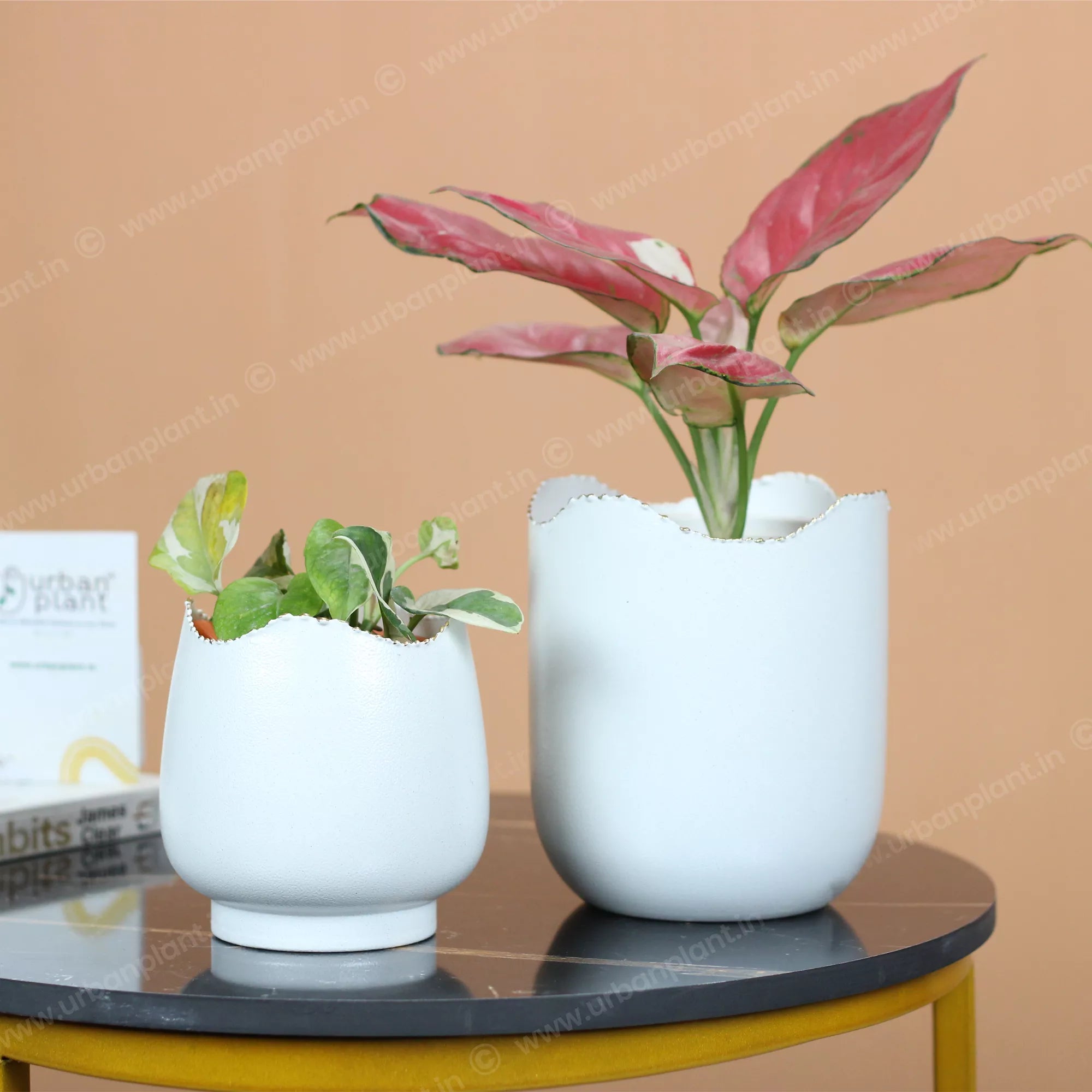 Easter Metal Pot Hammered Texture Plant Holder 5 Inch Metal Planter Urban Plant 