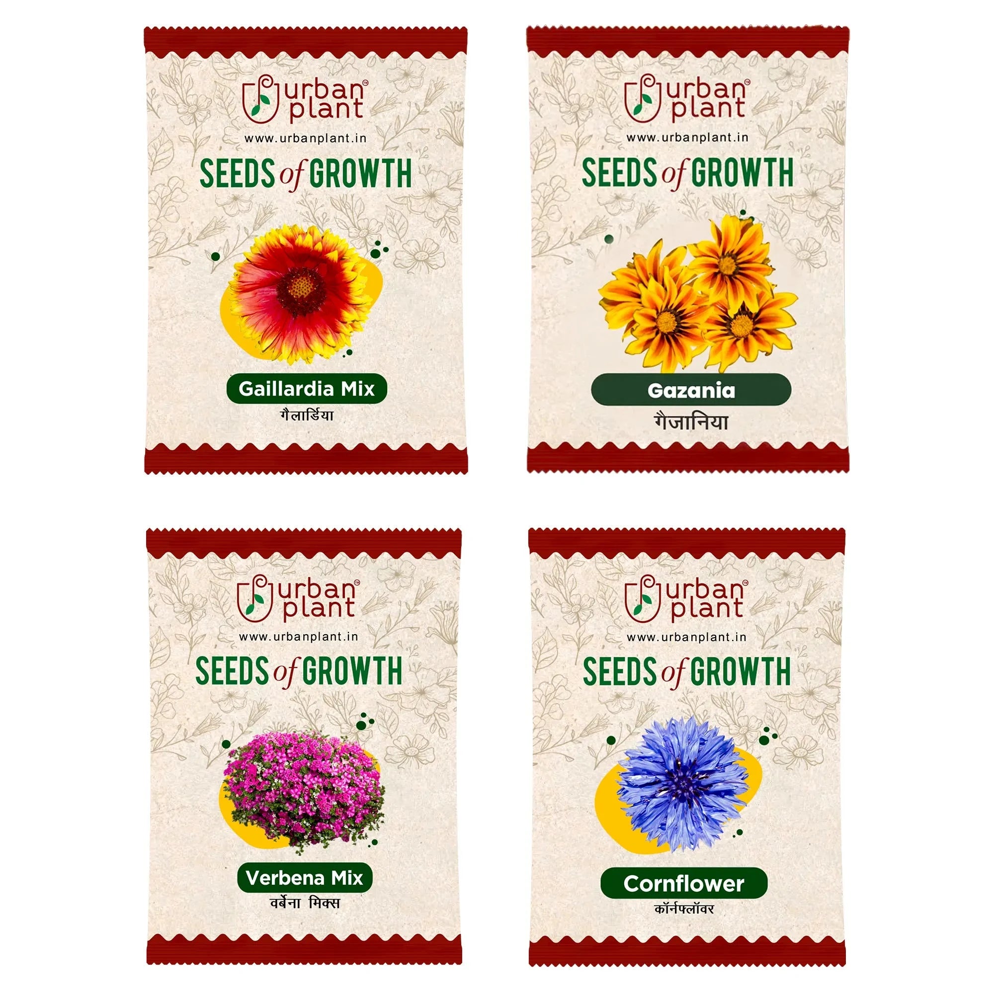 Flower Seeds Combo – (Gaillardia, Gazania, Verbena, Cornflower) Flower Seede Urban Plant 