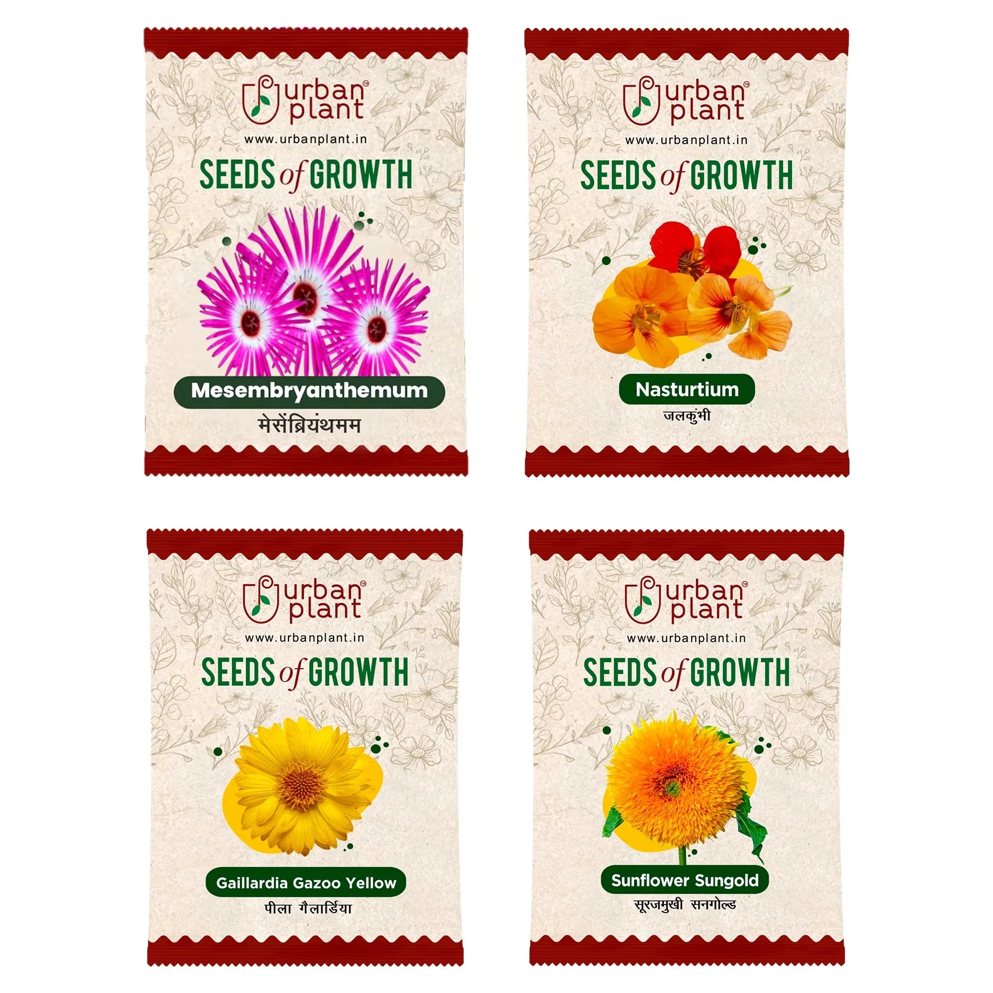 Flower Seeds Combo – (Ice Plant, Nasturtium, Gaillardia, Sunflower Sungold) Flower Seede Urban Plant 
