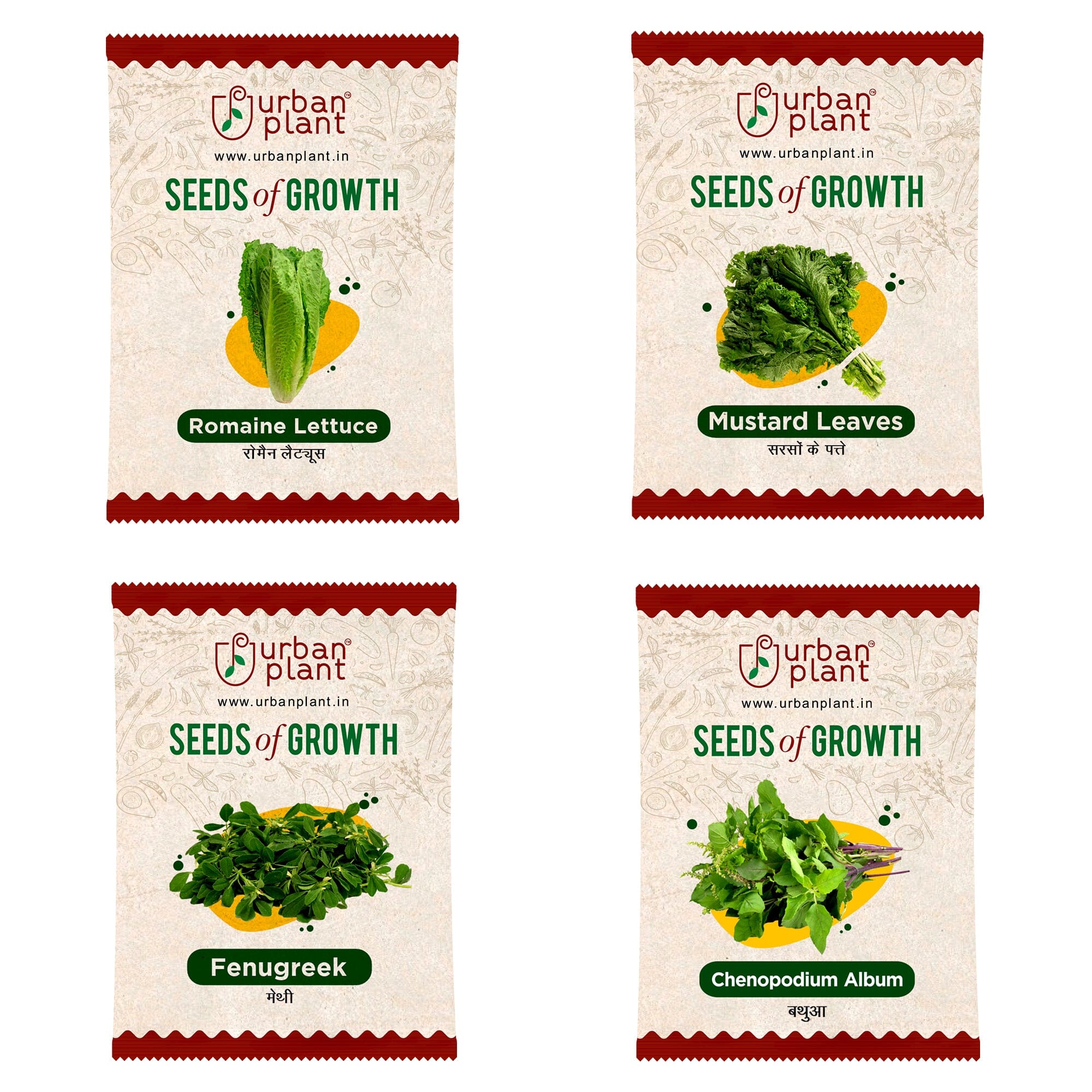 Vegetable Seeds Combo – (Romaine, Mustard, Fenugreek, Chenopodium) Vegetable Seed Urban Plant 