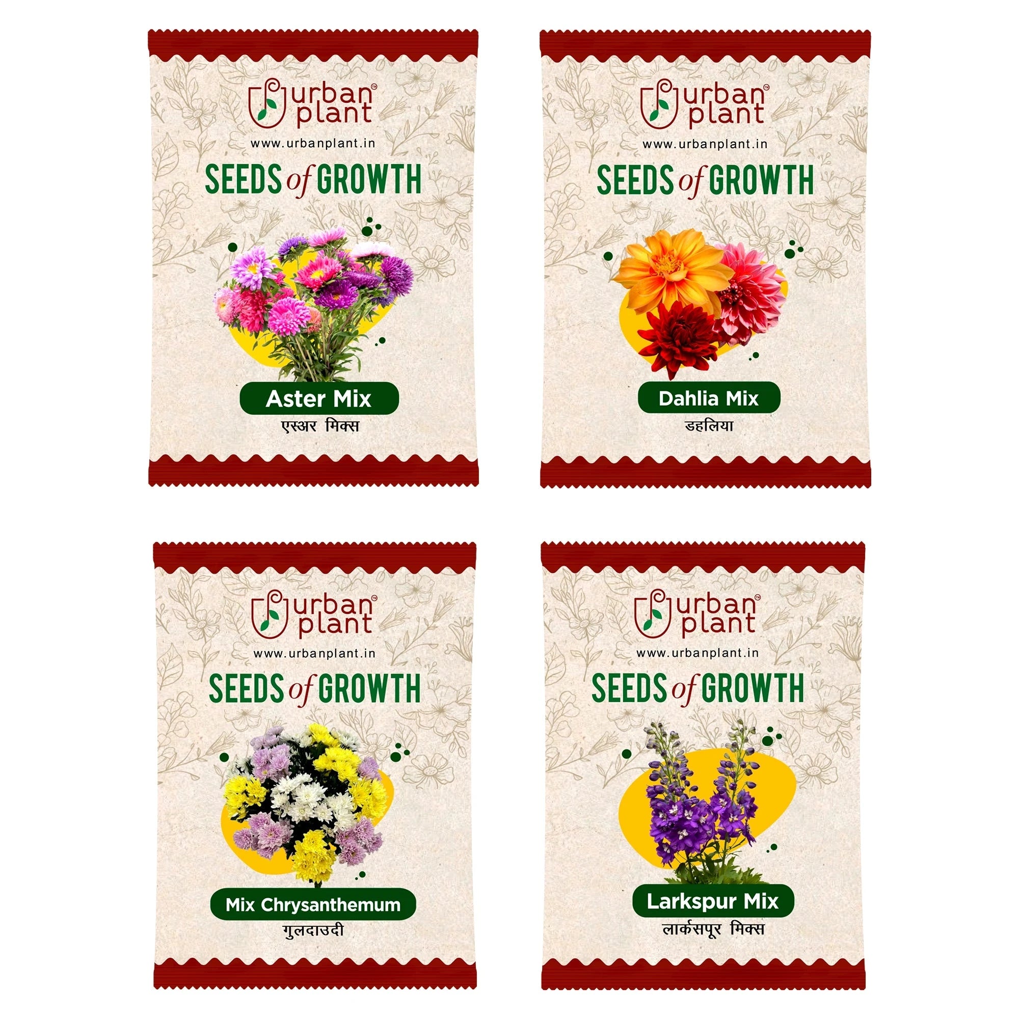 Flower Seeds Combo – (Aster, Dahlia, Chrysanthemum, Larkspur) Flower Seed Urban Plant 