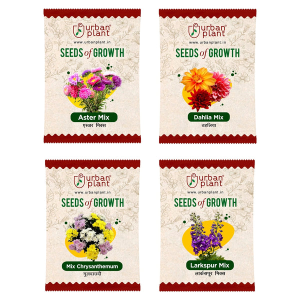 Flower Seeds Combo – (Aster, Dahlia, Chrysanthemum, Larkspur) Flower Seed Urban Plant 