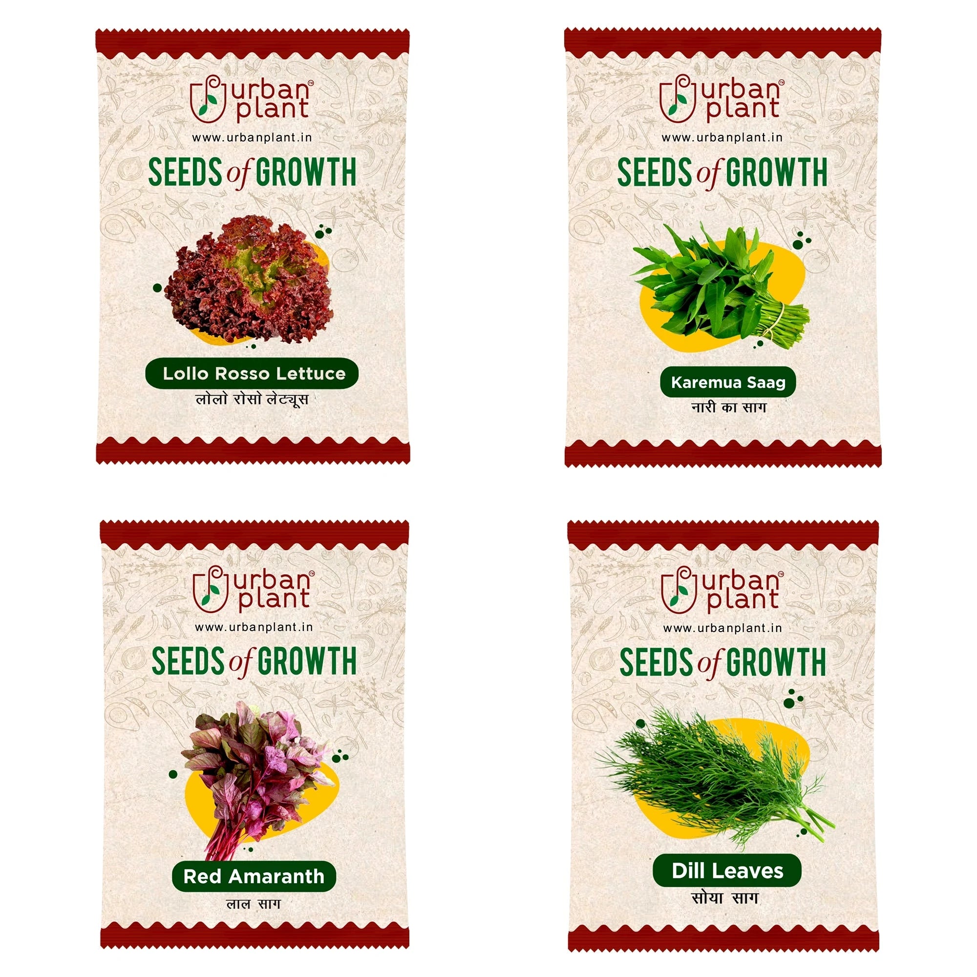 Vegetable Seeds Combo – (Lollo Rosso, Karemua Saag, Red Amaranth, Dill Leaves) Vegetable Seed Urban Plant 