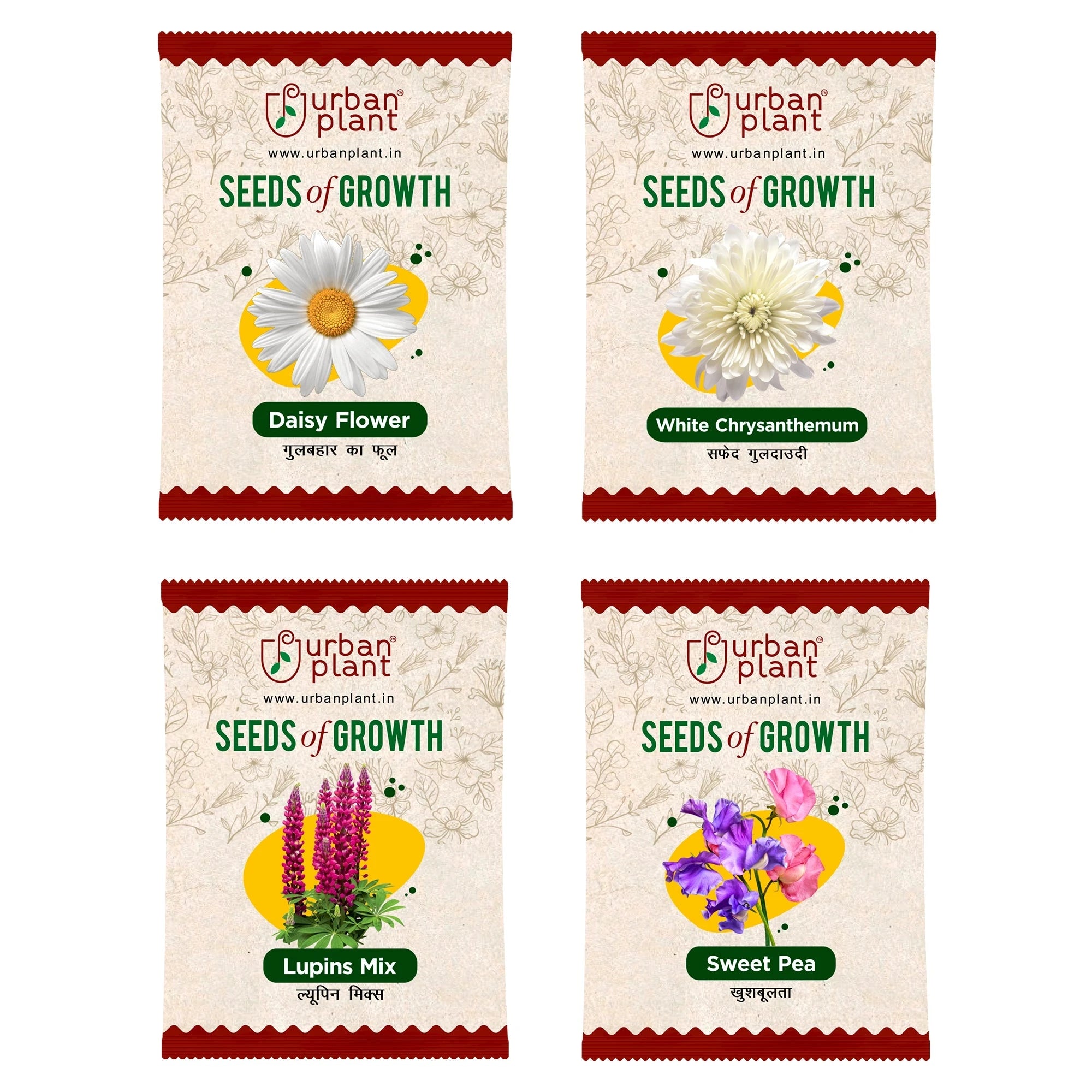 Flower Seeds Combo – (Daisy, Chrysanthemum, Lupins, Sweet Pea) Flower Seed Urban Plant 