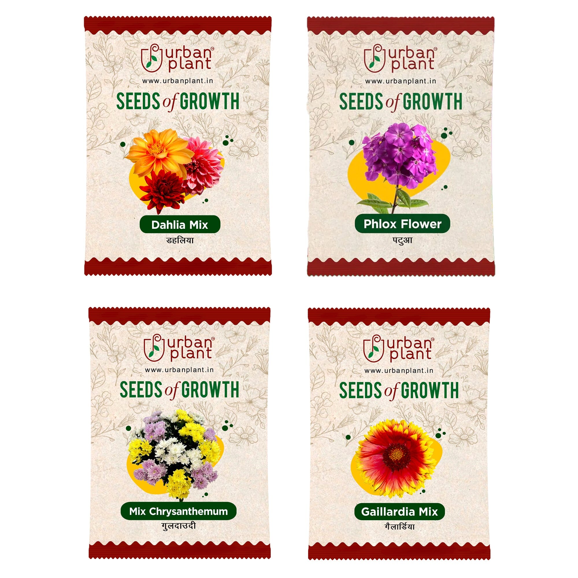 Dahlia, Phlox, Chrysanthemum, Gaillardia Flower Seeds - Bundle of 4 Packet Flower Seed Urban Plant 