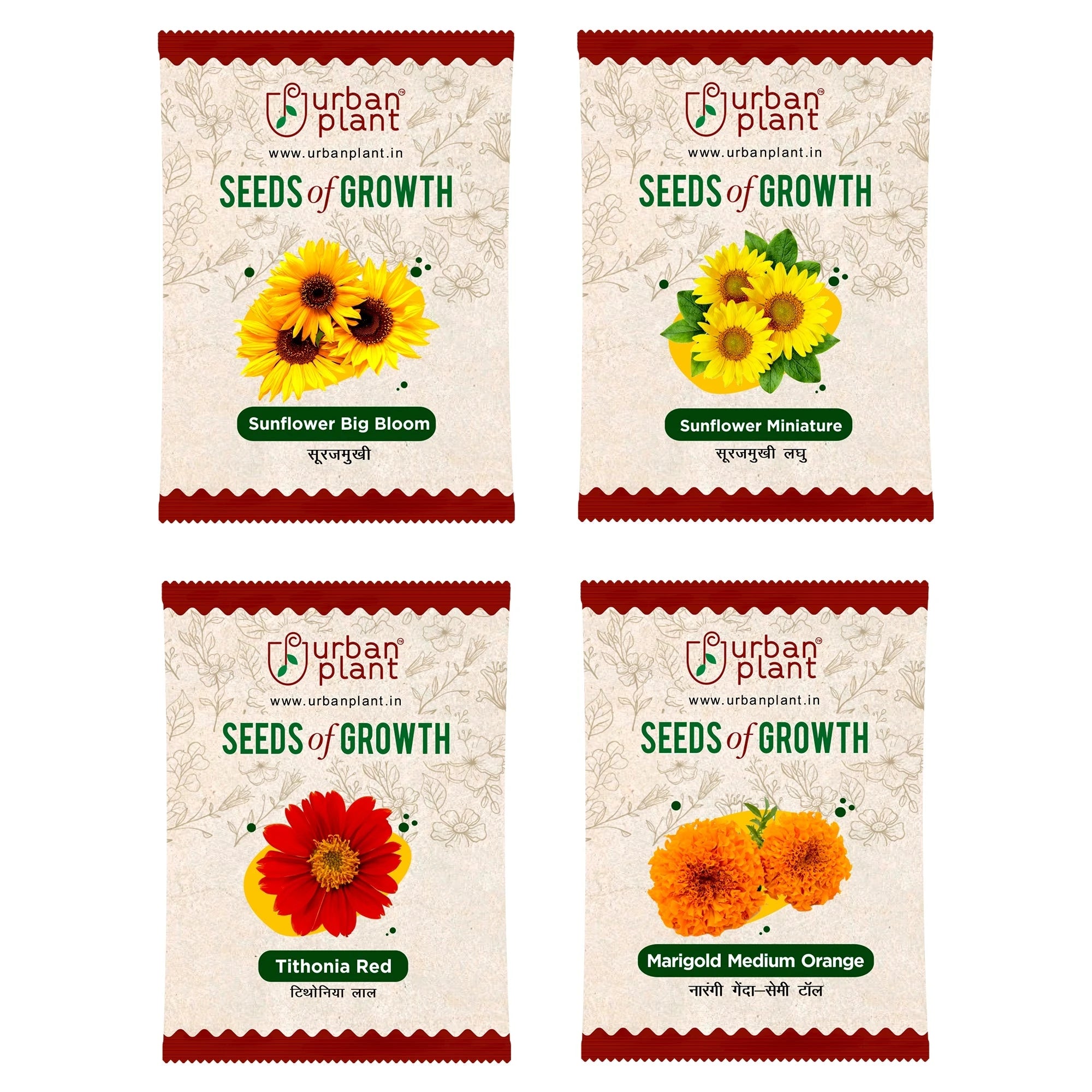 Flower Seeds Combo – (Sunflower Big Bloom, Sunflower Miniature, Tithonia, Marigold Orange) Flower Seed Urban Plant 