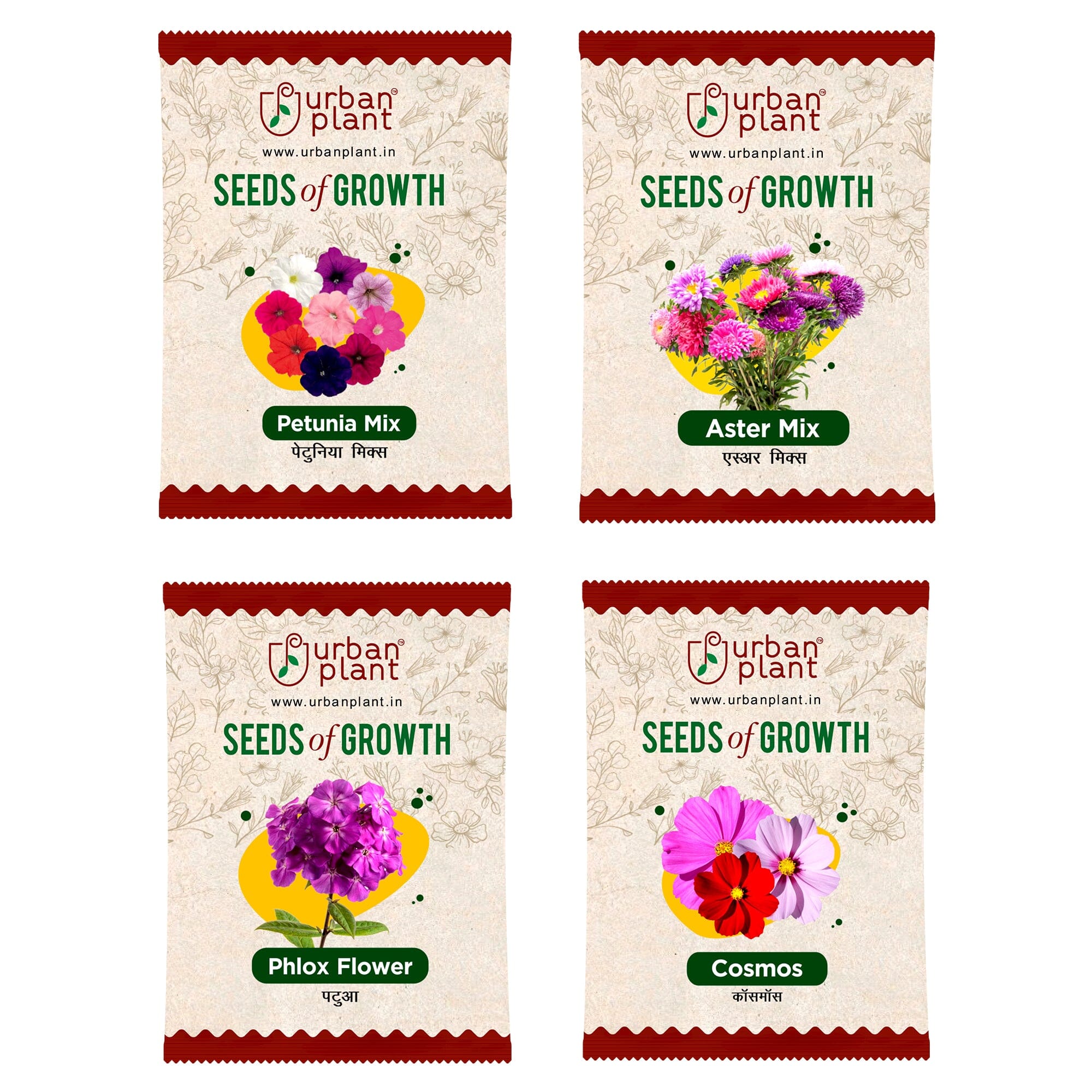 Flower Seeds Combo – (Petunia, Aster, Phlox, Cosmos) Flower Seed Urban Plant 