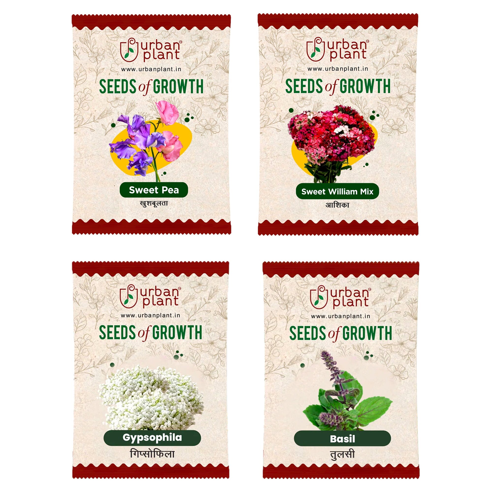 Flower Seeds Combo – (Sweet Pea, Sweet William, Gypsophila, Basil) Flower Seed Urban Plant 
