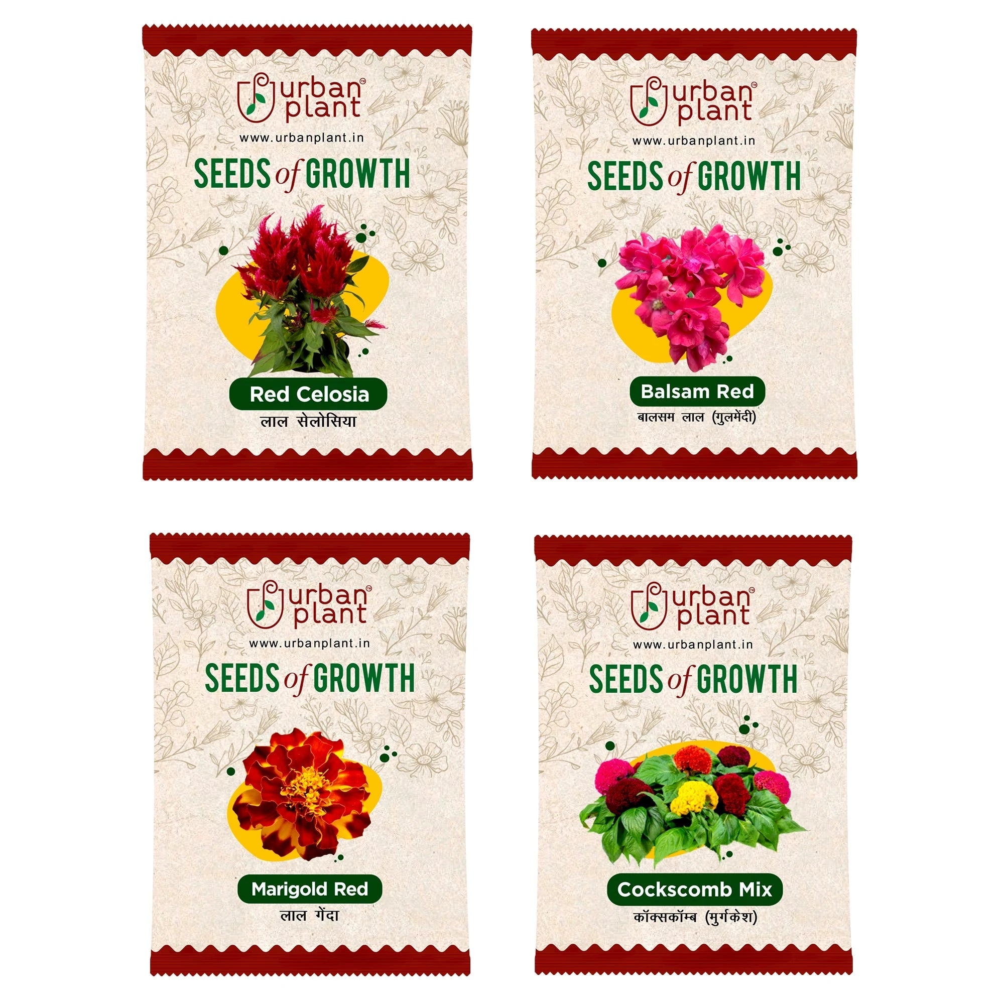 Flower Seeds Combo – (Red Celosia, Balsam Red, Marigold Red, Cockscomb) Flower Seed Urban Plant 
