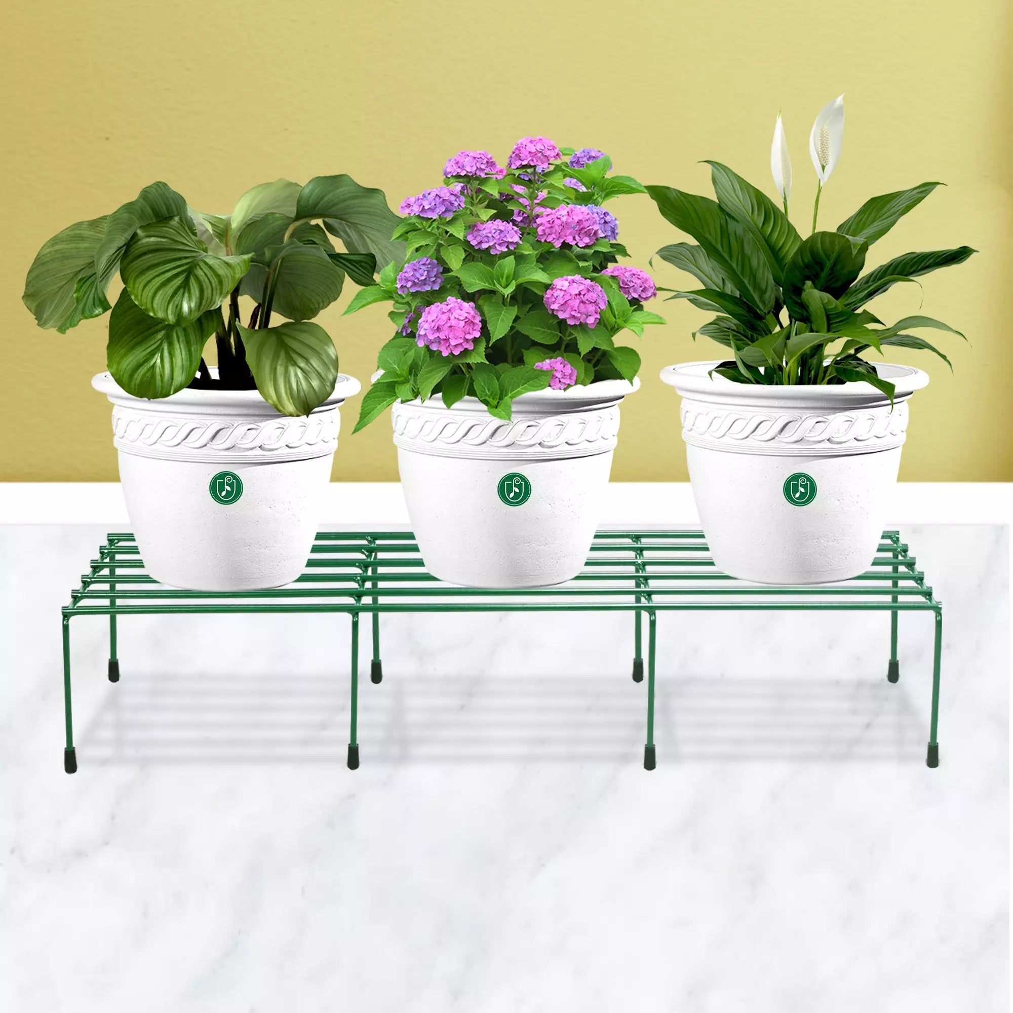 Comrade Metal Planter/Pot Stand for Garden - Green Metal Stand Urban Plant 1 