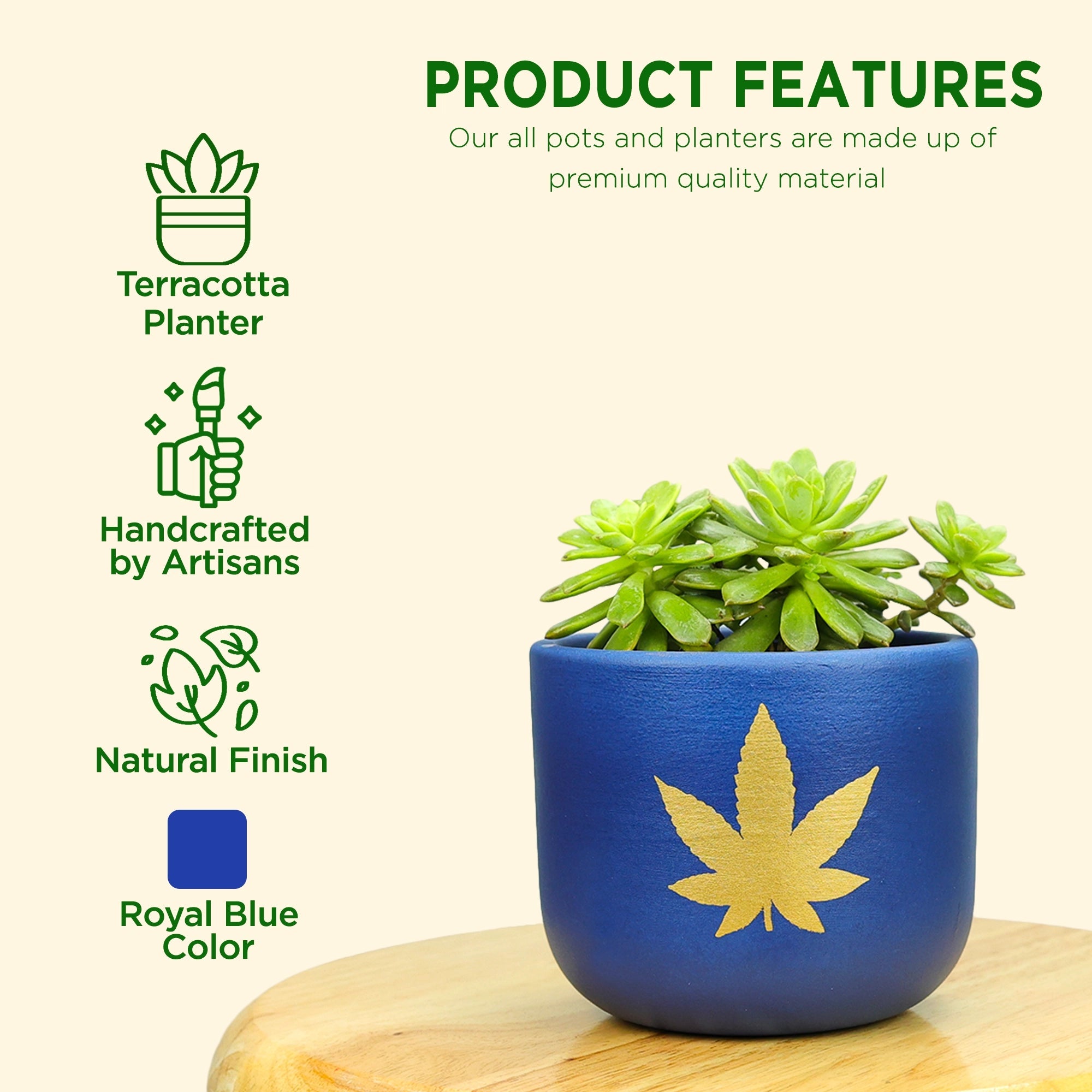 Bluesphere Terracotta Pot Terracotta Pot Urban Plant 