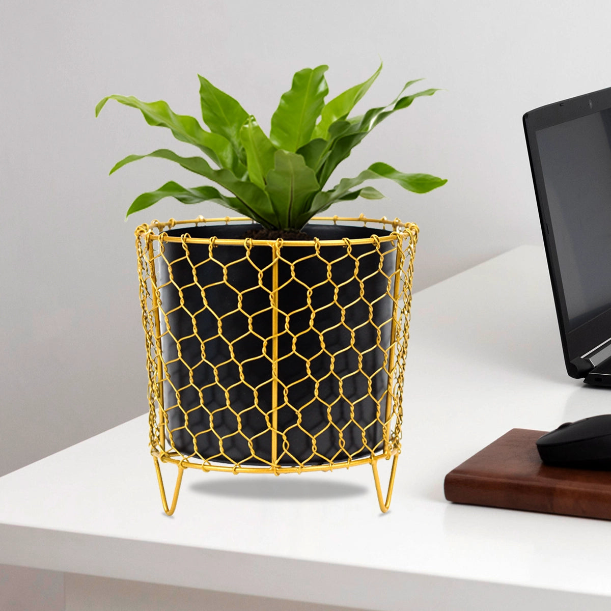 Golden Cage Metal Planter | Modern Designer Planter Pots for Living Room - 6" - 1270 Metal Planter Urban Plant 