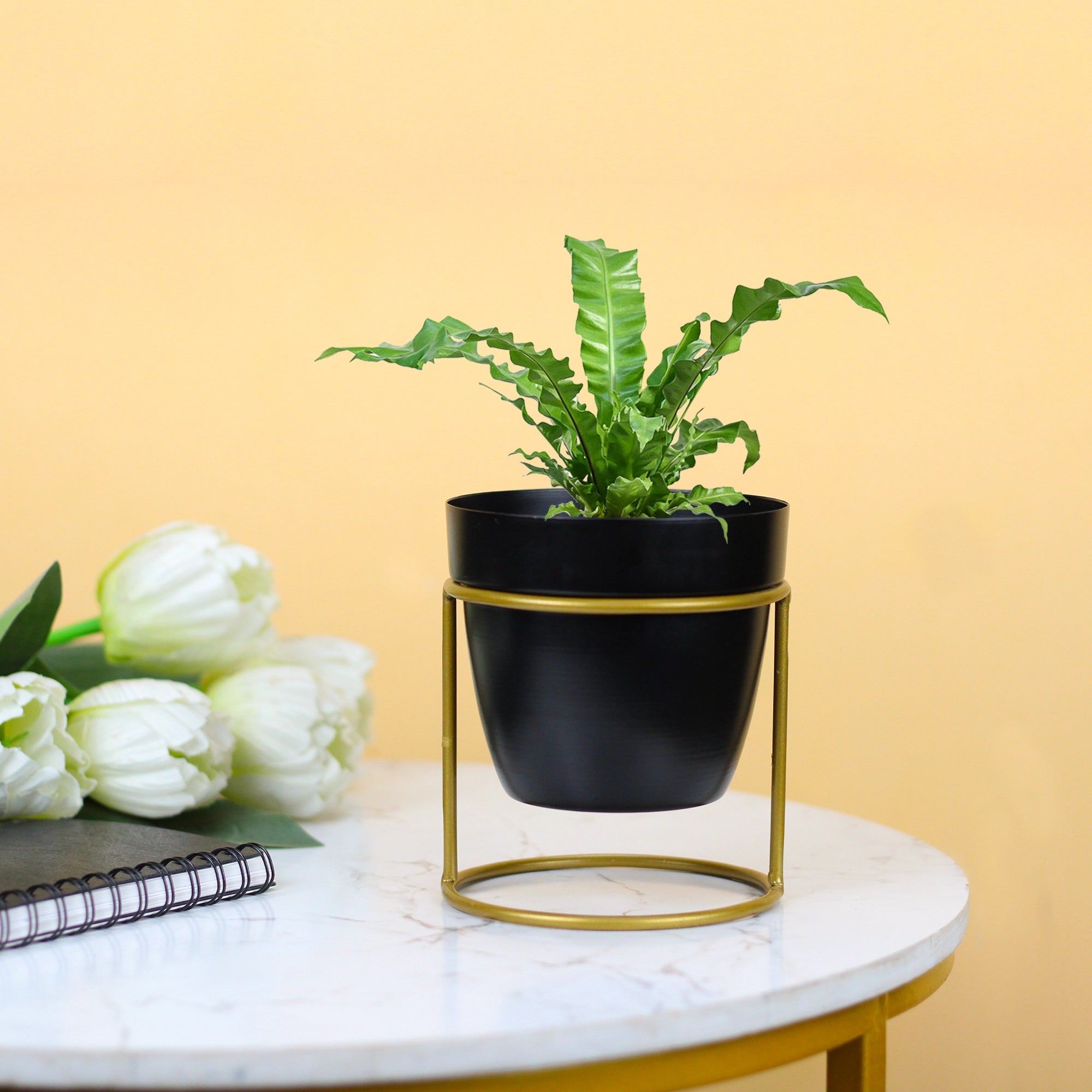 Classy Decorative Round Shape Black & White Metal Planter with Stand Metal Planter Urban Plant 