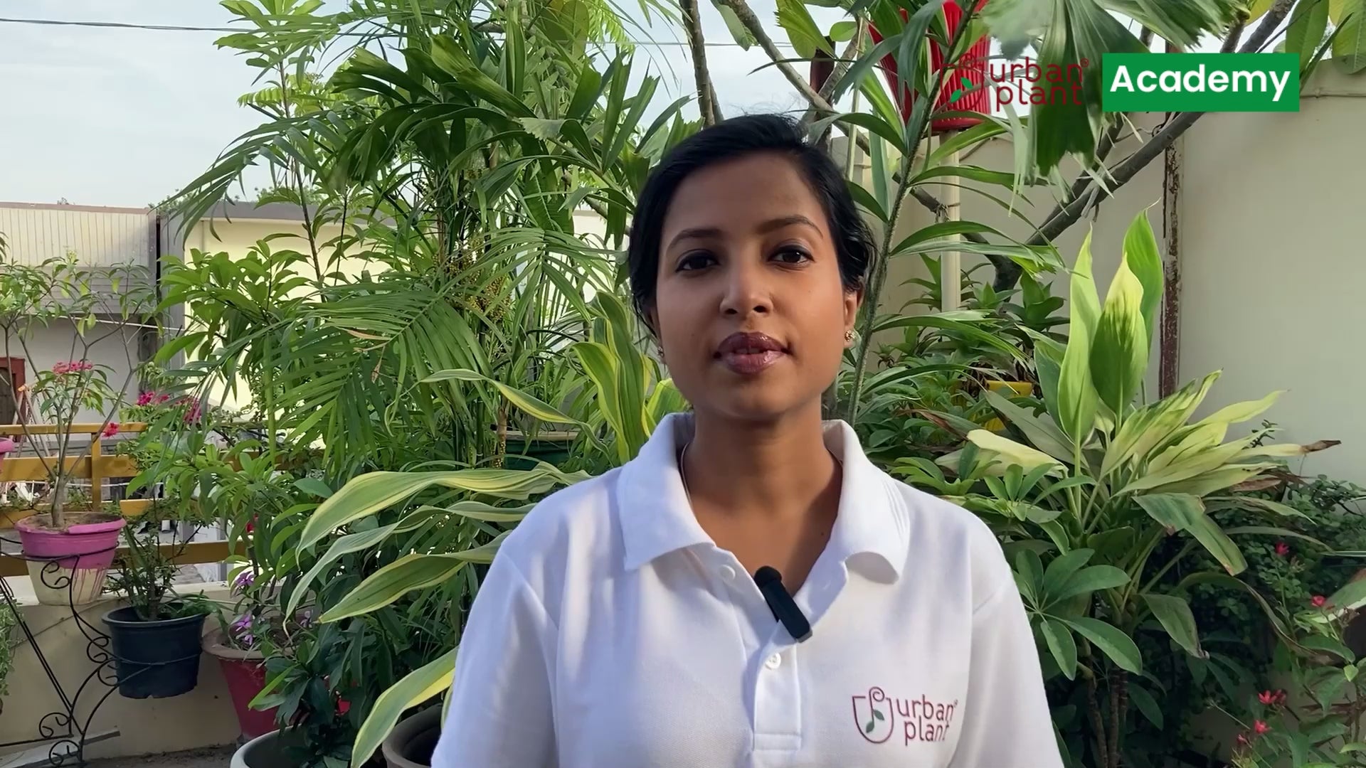 urban-plant-india.myshopify.com video