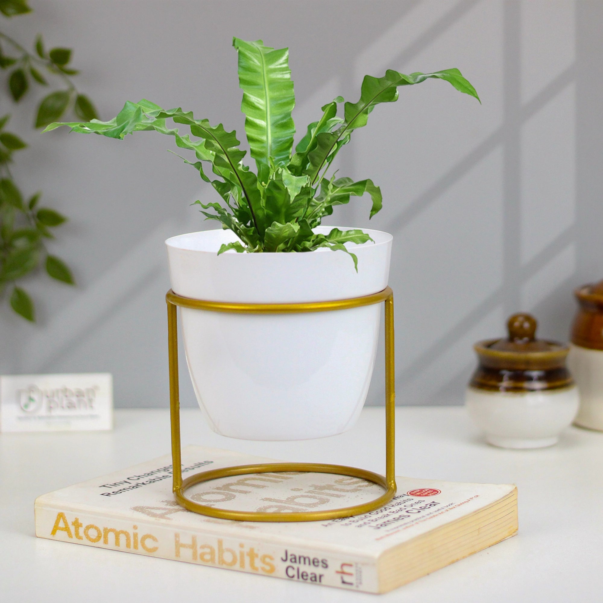 Classy Decorative Round Shape Black & White Metal Planter with Stand Metal Planter Urban Plant White 
