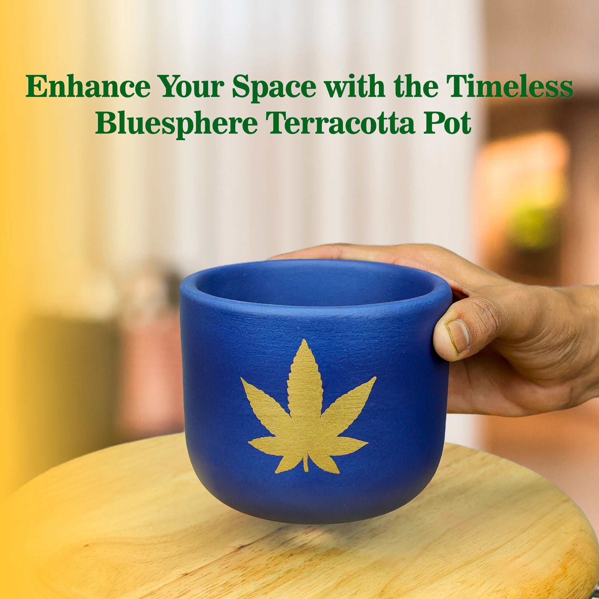 Bluesphere Terracotta Pot Terracotta Pot Urban Plant 