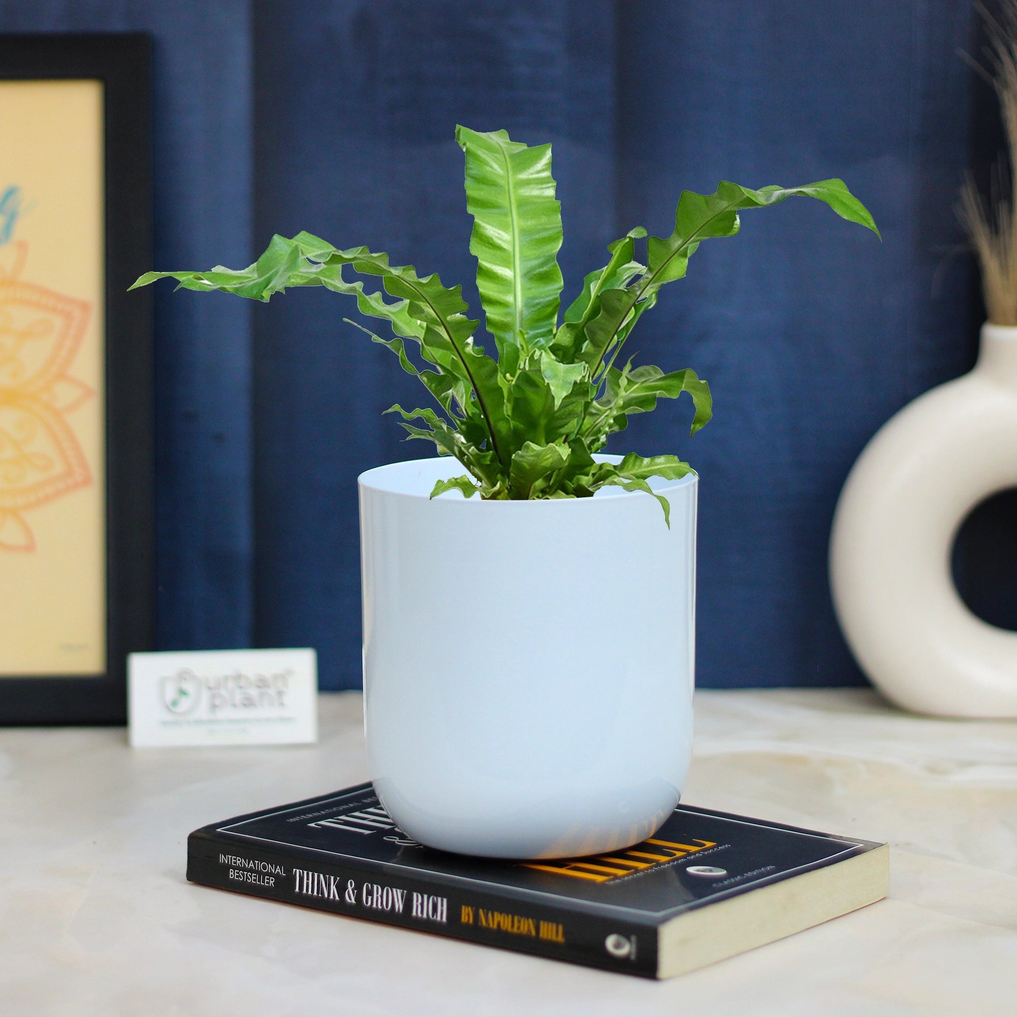 Metallic Miniature Plant Holder 5 inch Metal Planter Urban Plant White Single 