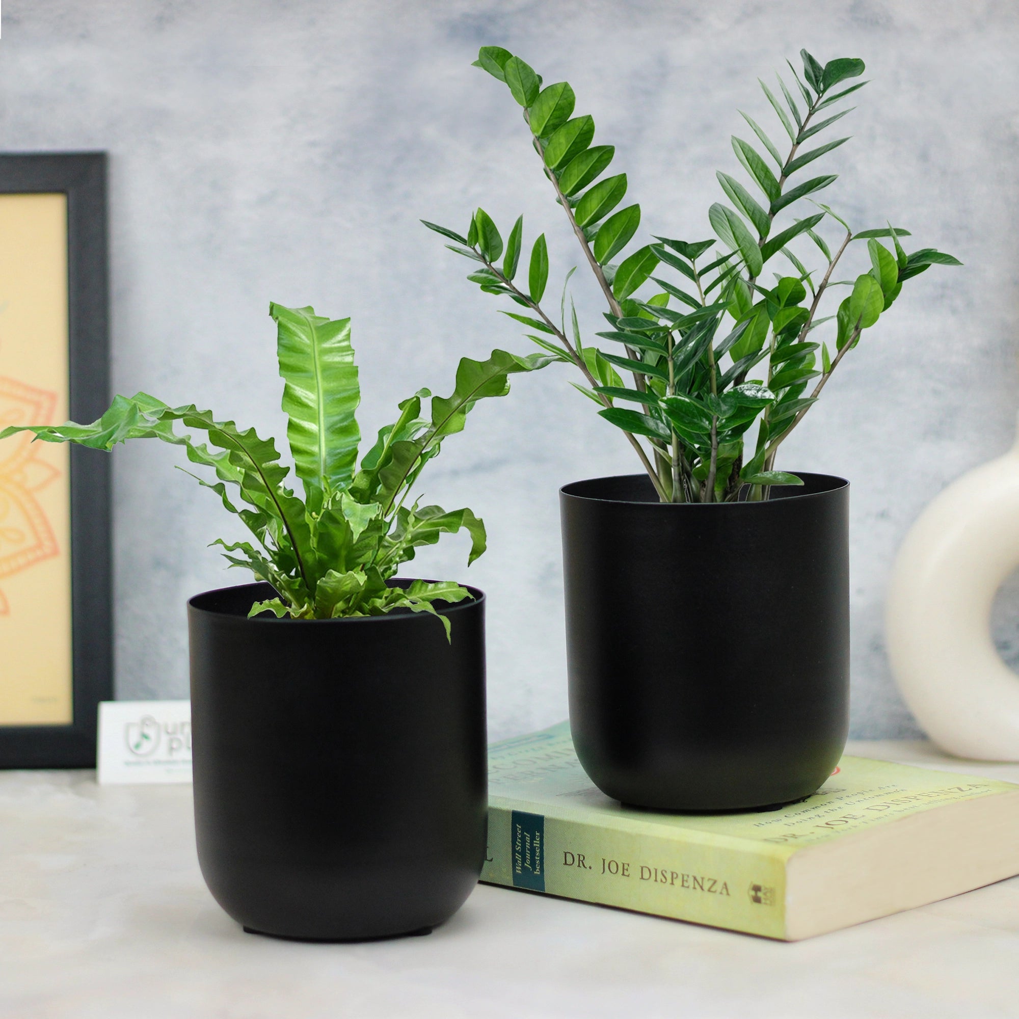 Metallic Miniature Plant Holder 5 inch Metal Planter Urban Plant Black Set of 2 