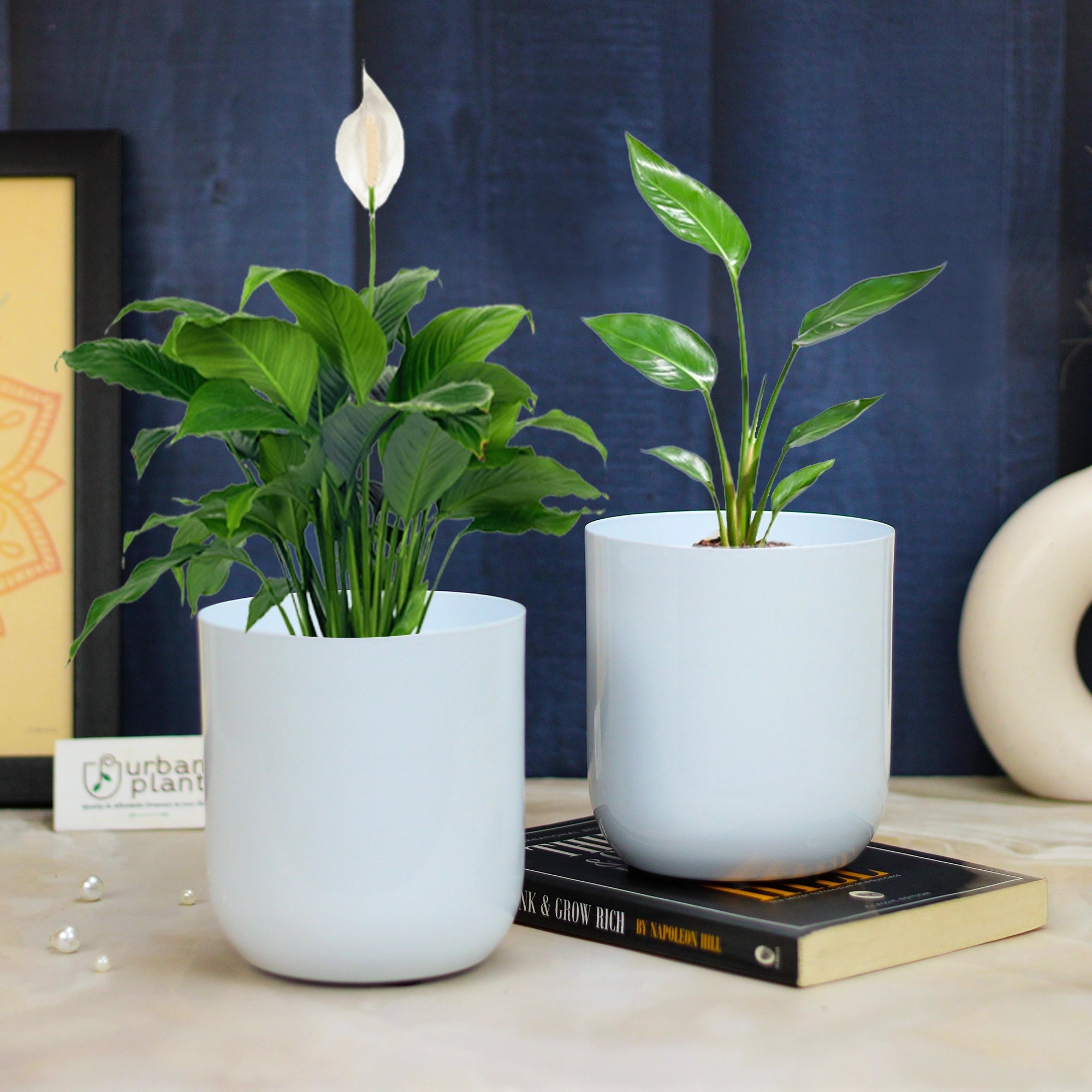 Metallic Miniature Plant Holder 5 inch Metal Planter Urban Plant White Set of 2 