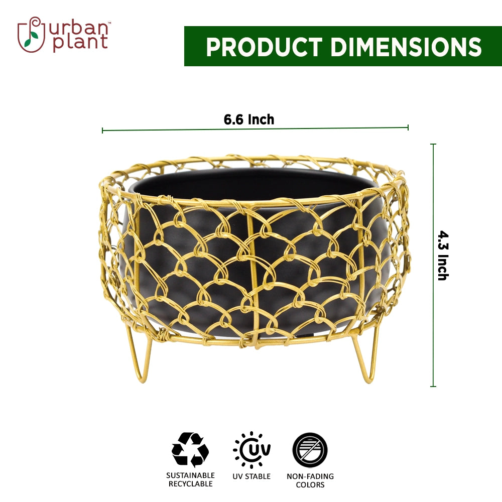 Golden Cage Metal Planter | Modern Designer Planter Pots for Living Room - 4.3" - 1334 Metal Planter Urban Plant 