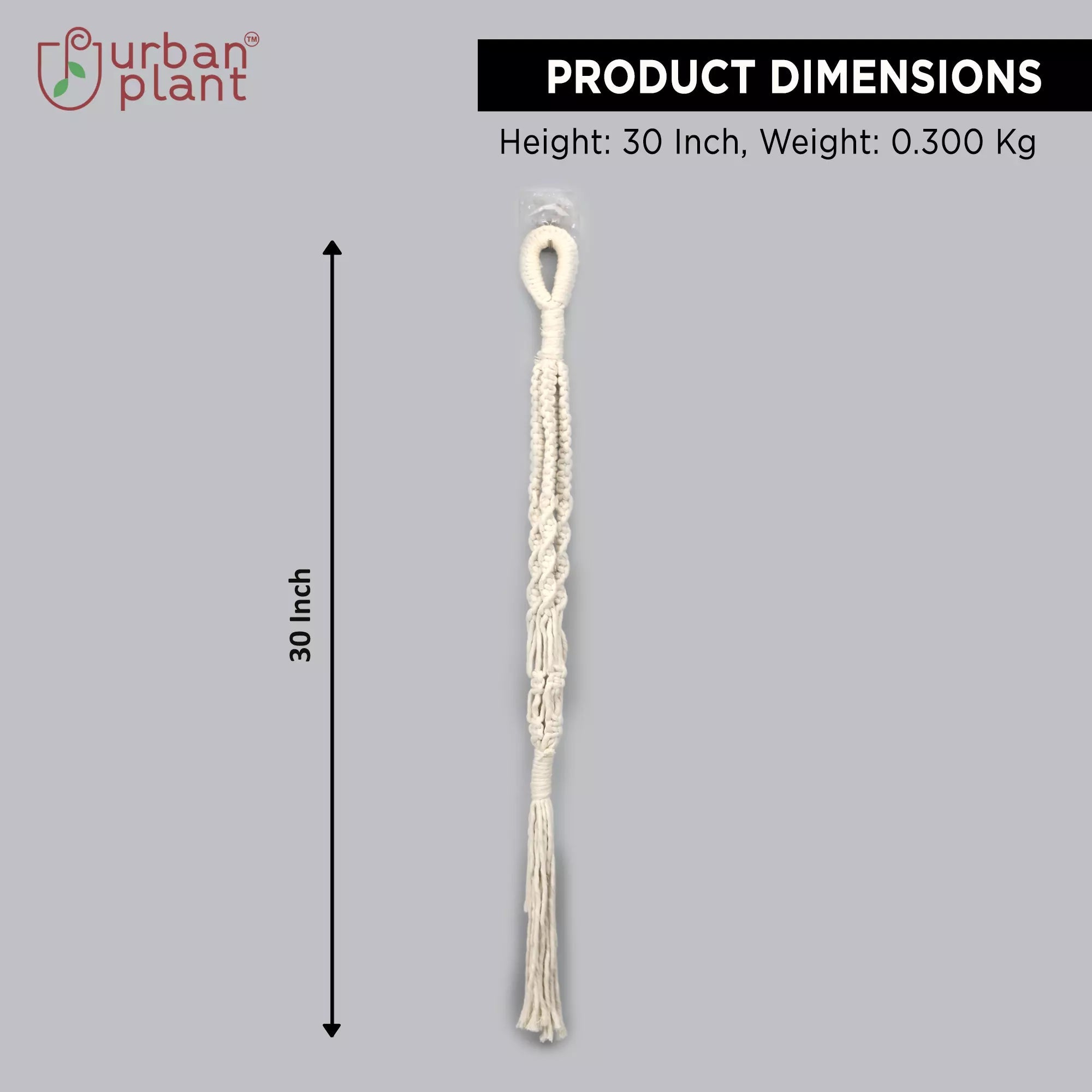 Modern Chic Macrame Plant Hanger Hanging Planter Urban Plant 