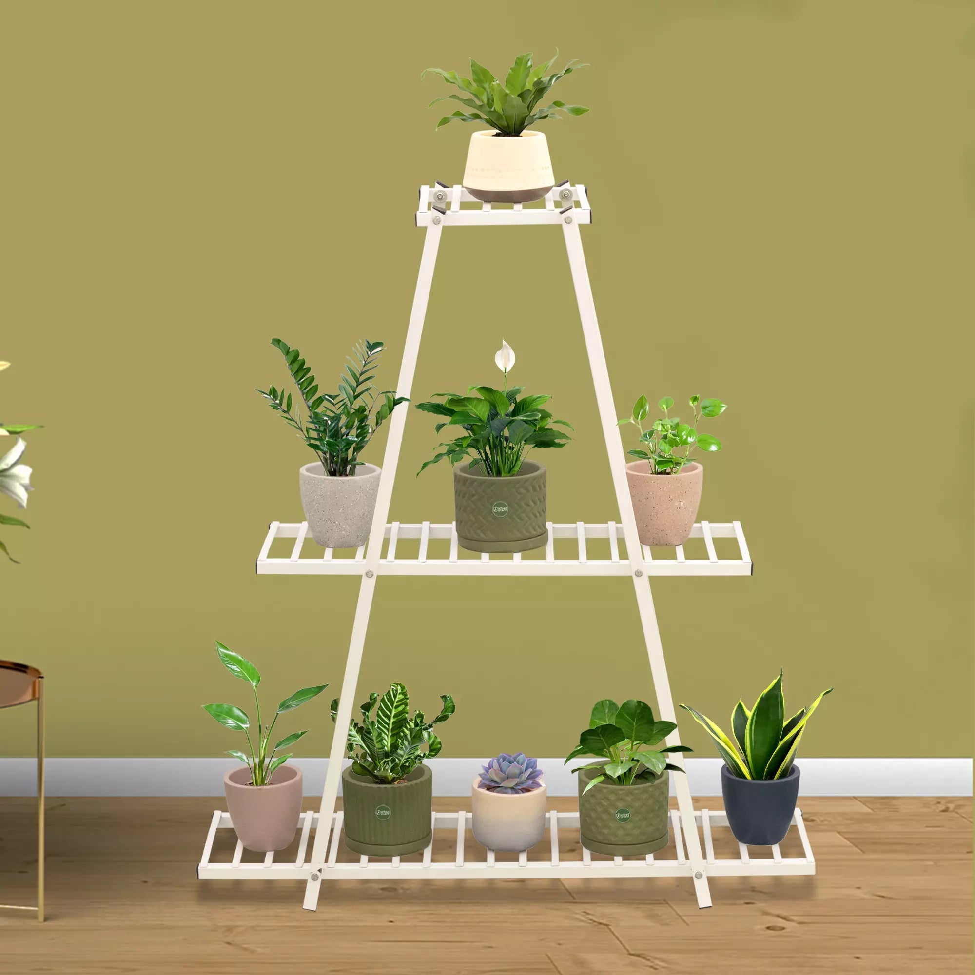Ascent Planter Stand - A Trending Three Rack Stand for Plant & Multipurpose Use Urban Plant White 