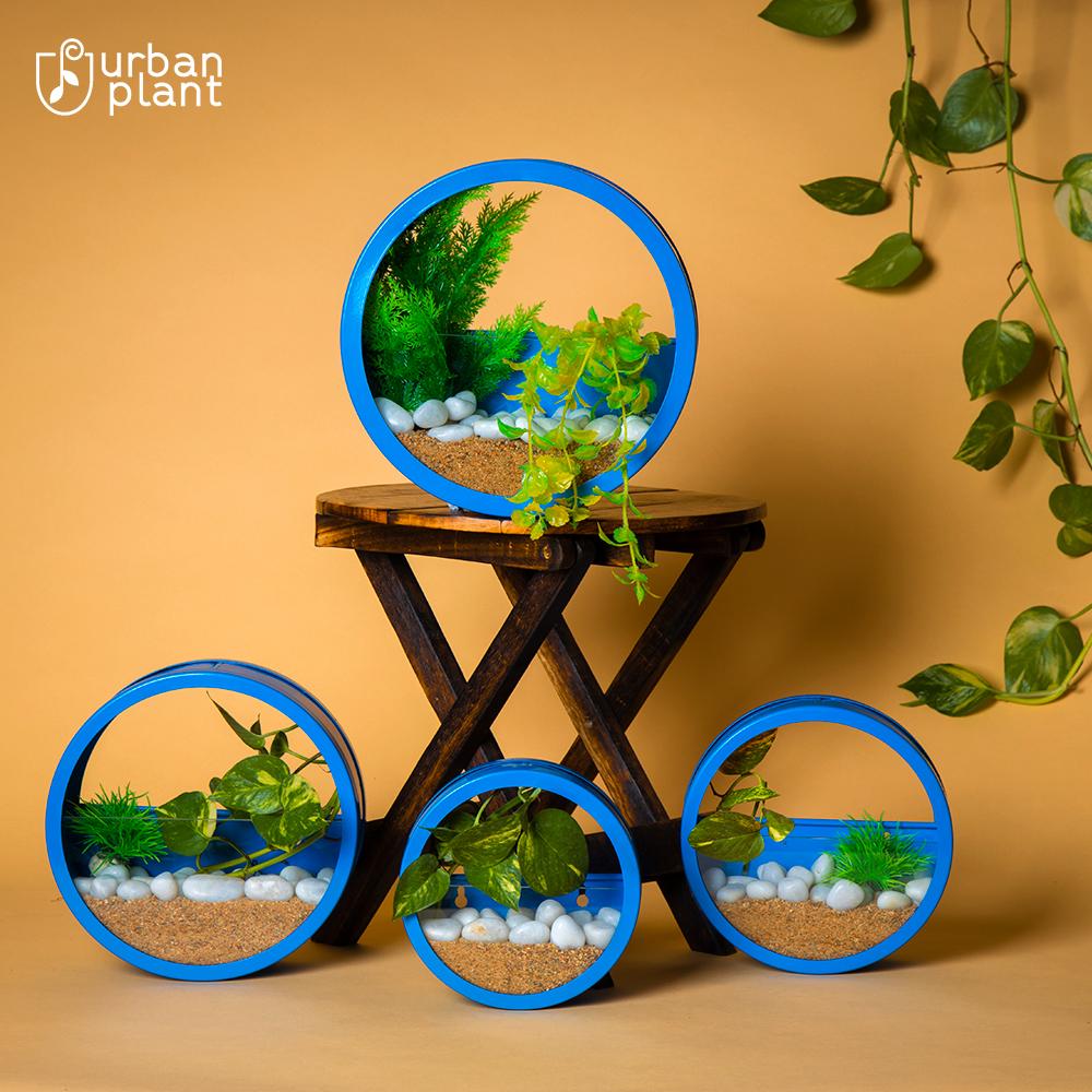 Buy Circular Wall Hanging Metal Planters Online-Set of 4 Wall Hanging Planter Urban Plant Blue 