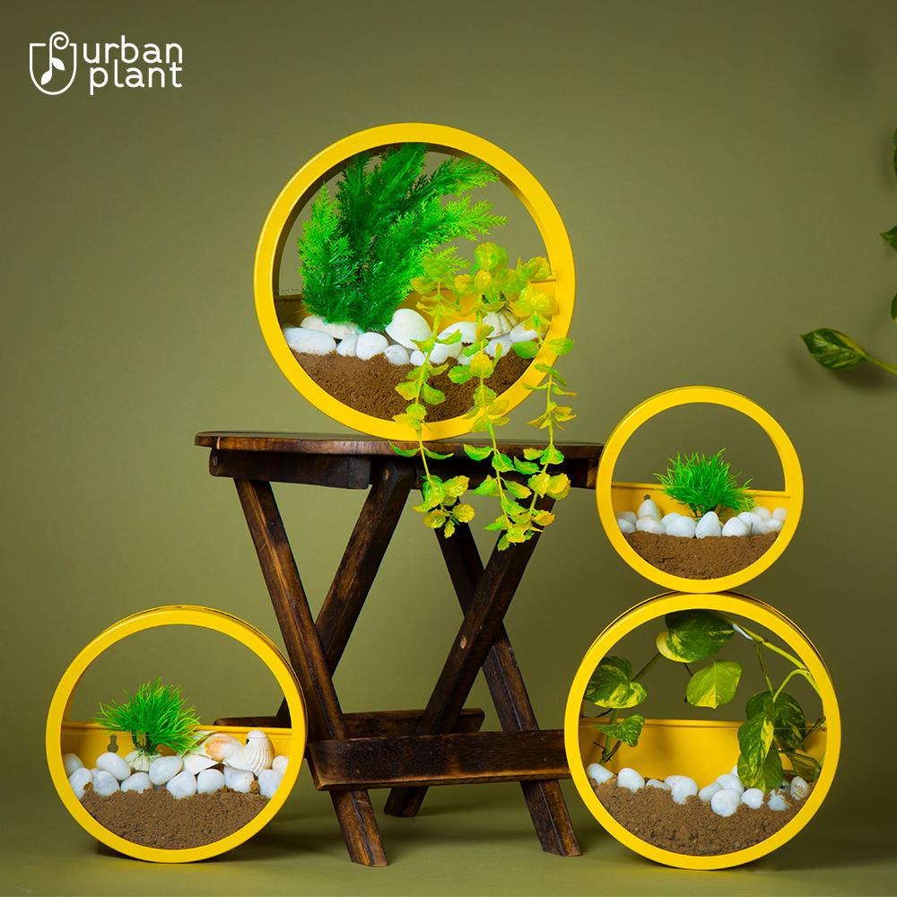 Buy Circular Wall Hanging Metal Planters Online-Set of 4 Wall Hanging Planter Urban Plant Yellow 