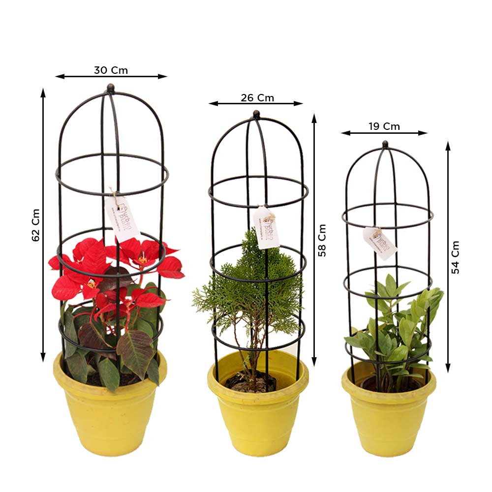 Urban Plant Trellis for Plant Protection (Set of 3) Urban Plant 