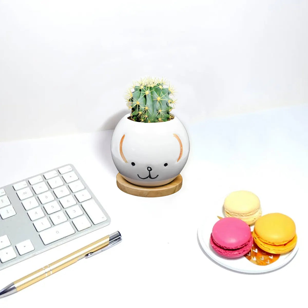 Cute Puppy Face Ceramic Planter with Wooden Tray Ceramic Planters Urban Plant 