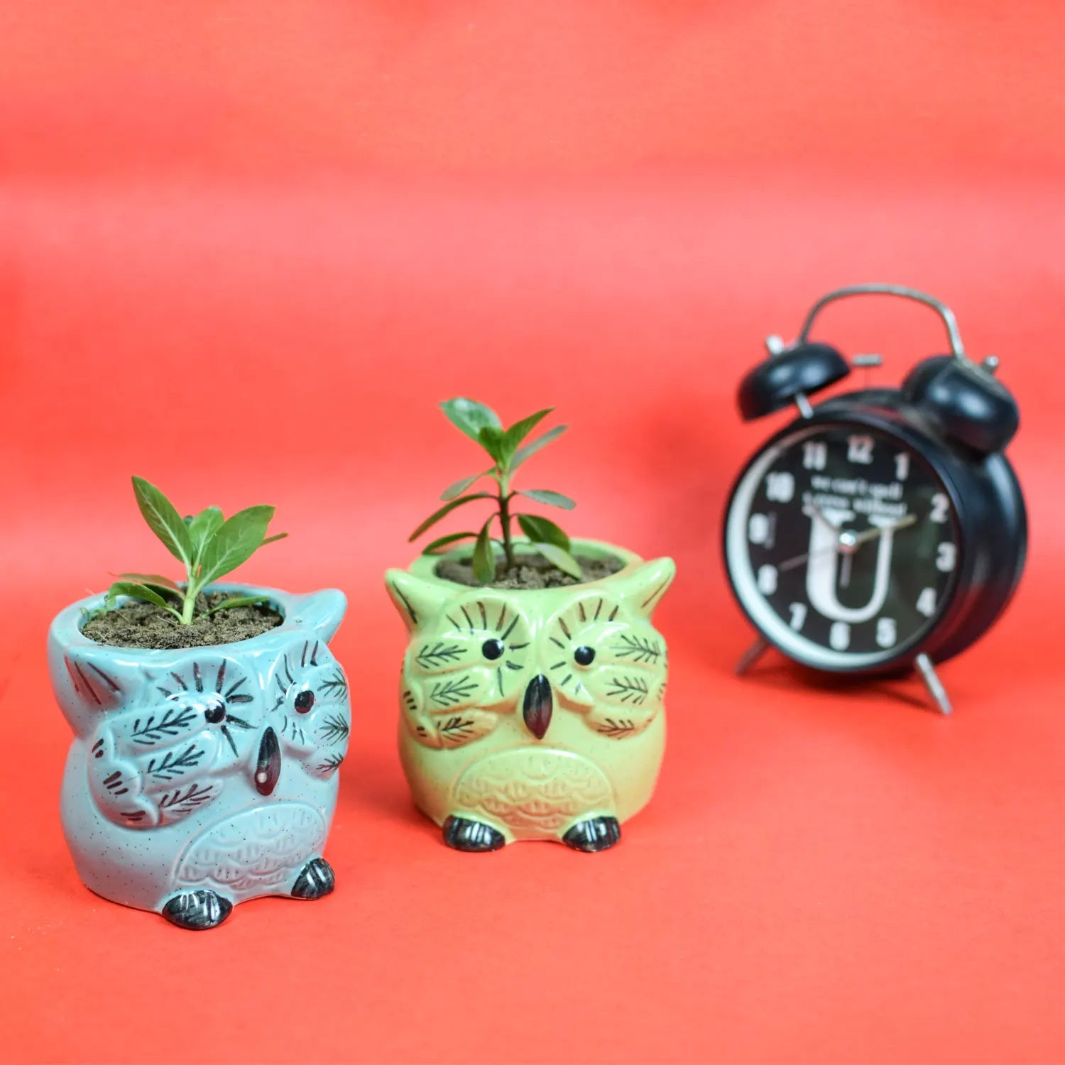 Owl Motif Planter Pot Urban Plant Blue & Green ( Set of 2) 