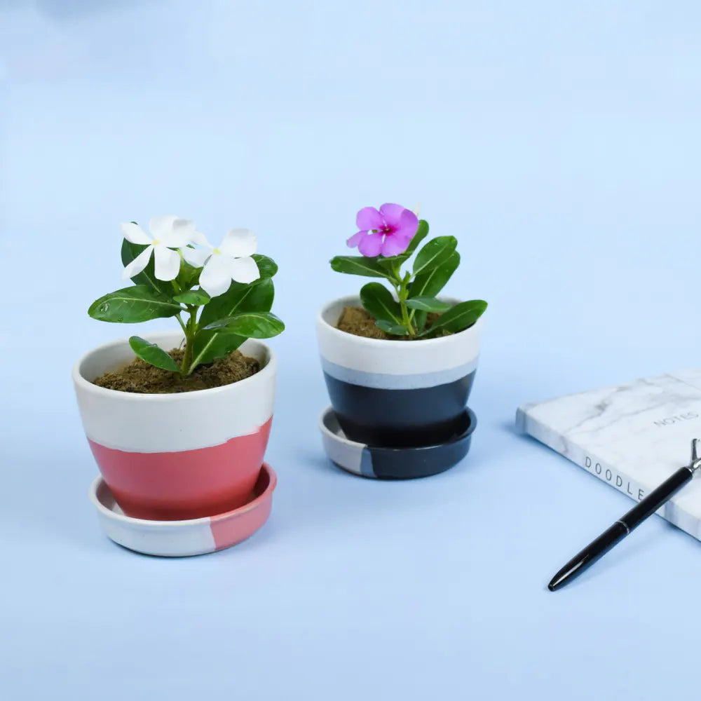 Modern Monochrome Pink & Black Ceramic Planter Pot (Set Of 2) Ceramic Planters Urban Plant 